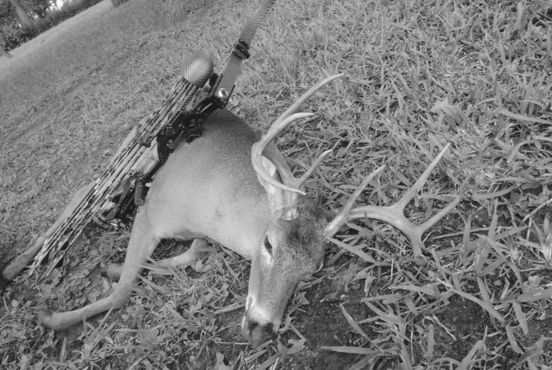 TBD County Road 482 Rd, Gonzales, TX 78629