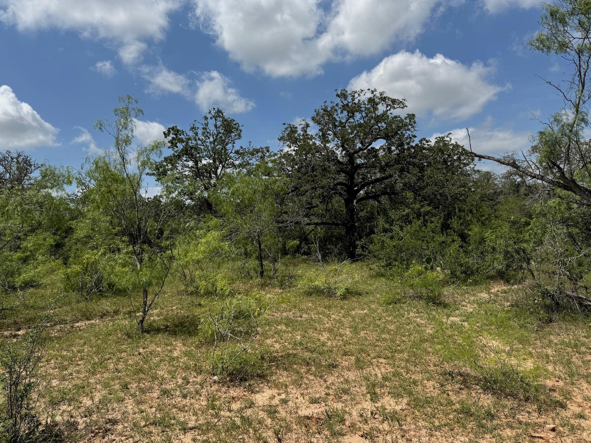 TBD County Road 482 Rd, Gonzales, TX 78629