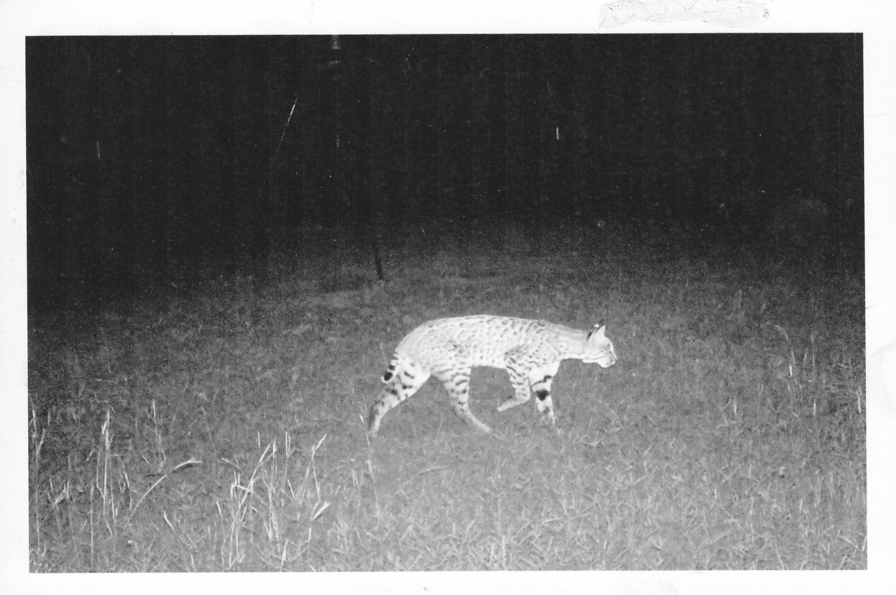 TBD County Road 482 Rd, Gonzales, TX 78629