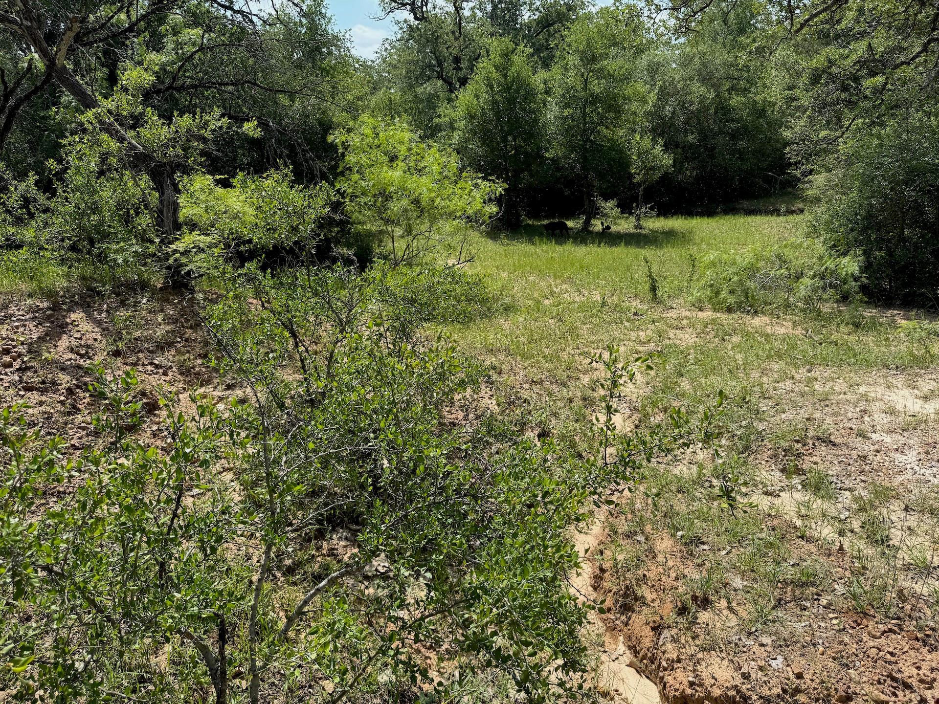 TBD County Road 482 Rd, Gonzales, TX 78629