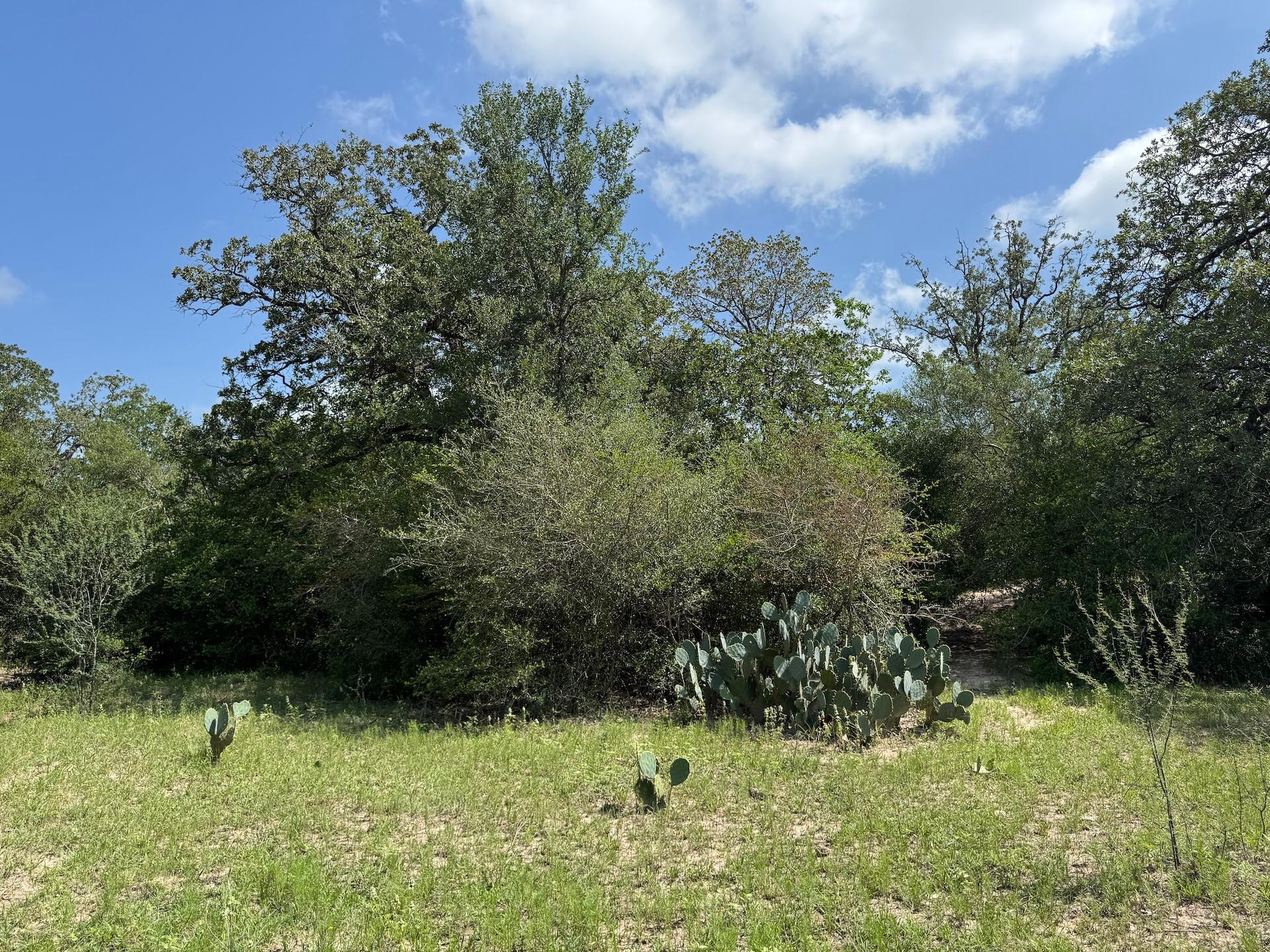 TBD County Road 482 Rd, Gonzales, TX 78629