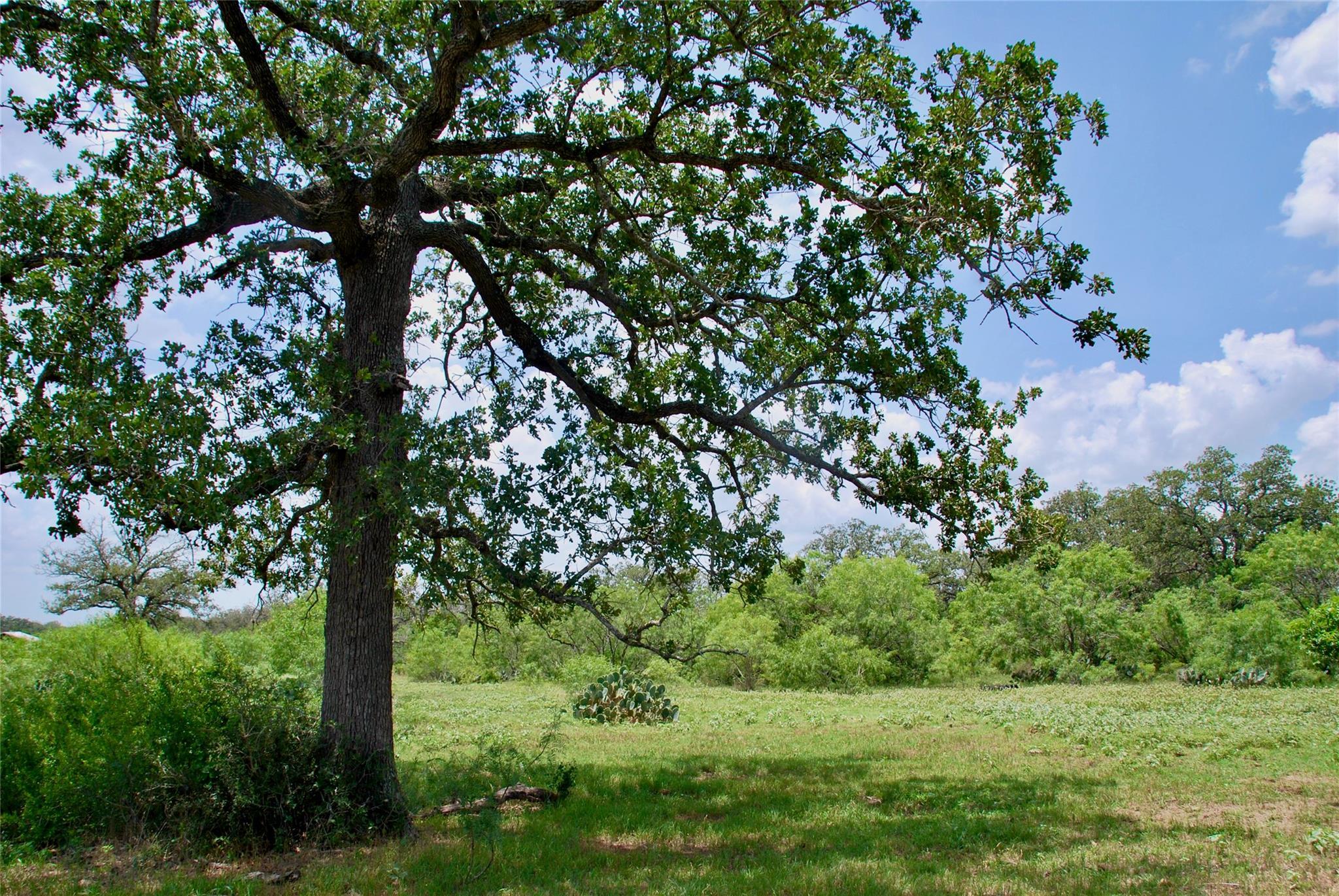 TBD County Road 482 Rd, Gonzales, TX 78629