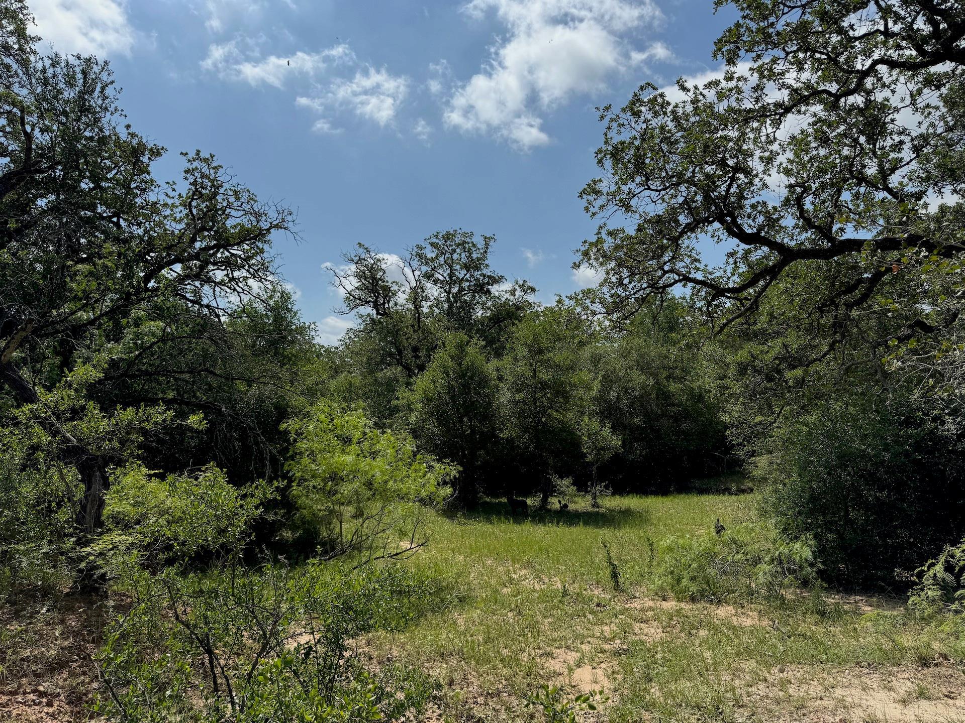 TBD County Road 482 Rd, Gonzales, TX 78629