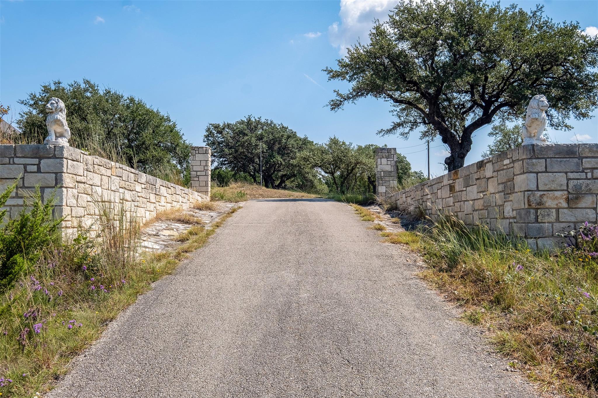 360 Sunset Rdg, Liberty Hill, TX 78642