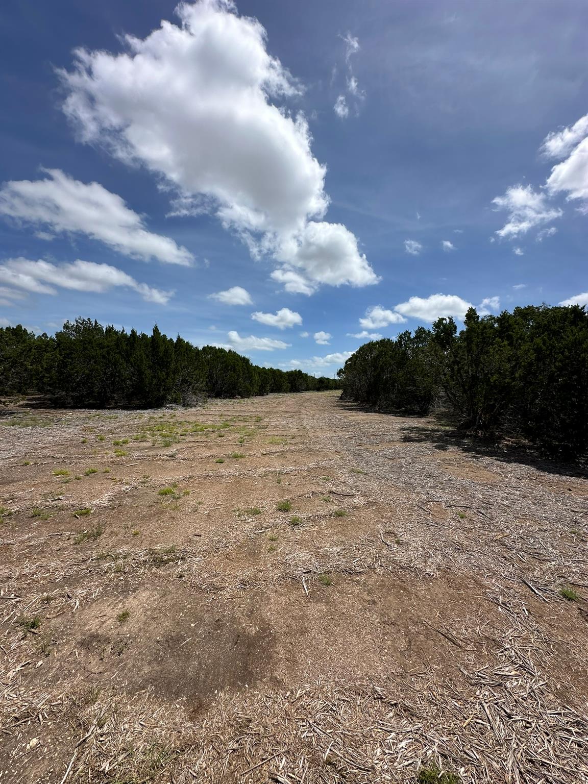 251 StarGazer Dr, Lampasas, TX 76550