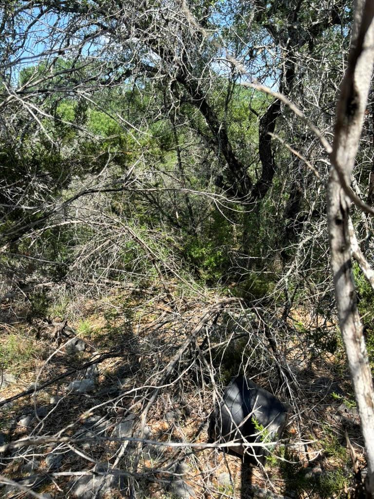 4701 Little Creek Trl, Spicewood, TX 78669