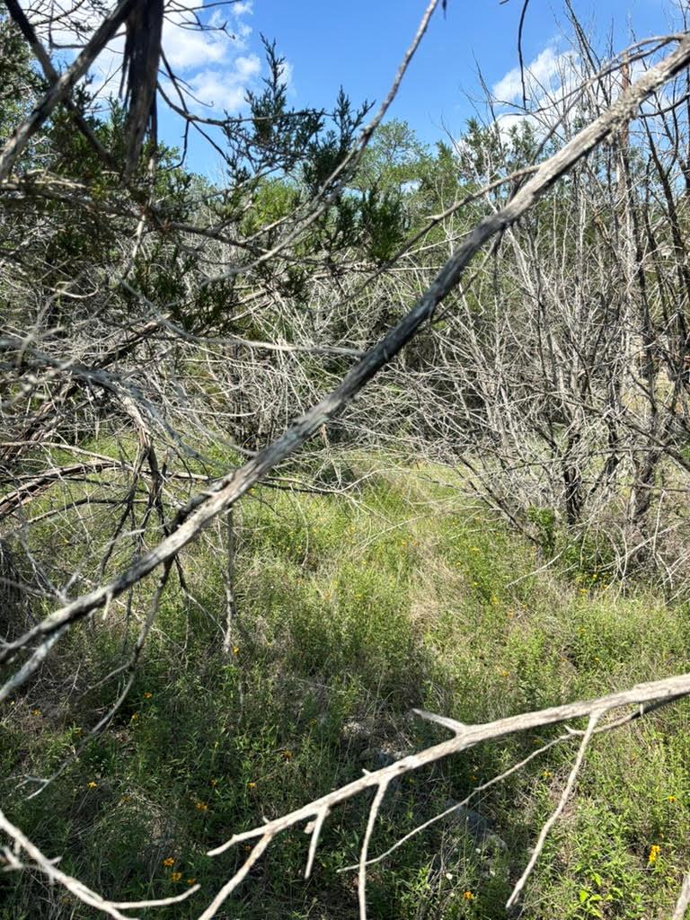 4701 Little Creek Trl, Spicewood, TX 78669