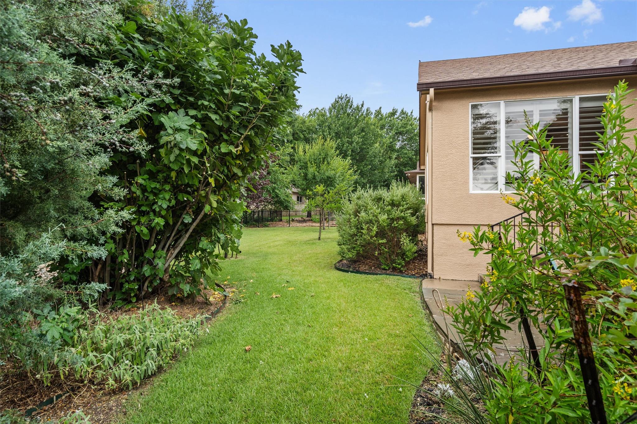 119 Daisy Path, Georgetown, TX 78633