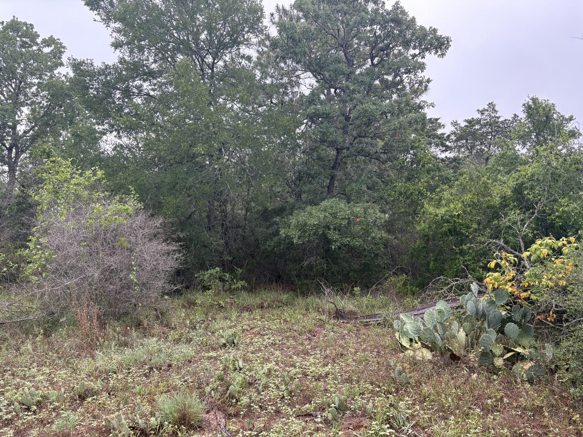 TBD Hanauma Dr, Bastrop, TX 78602