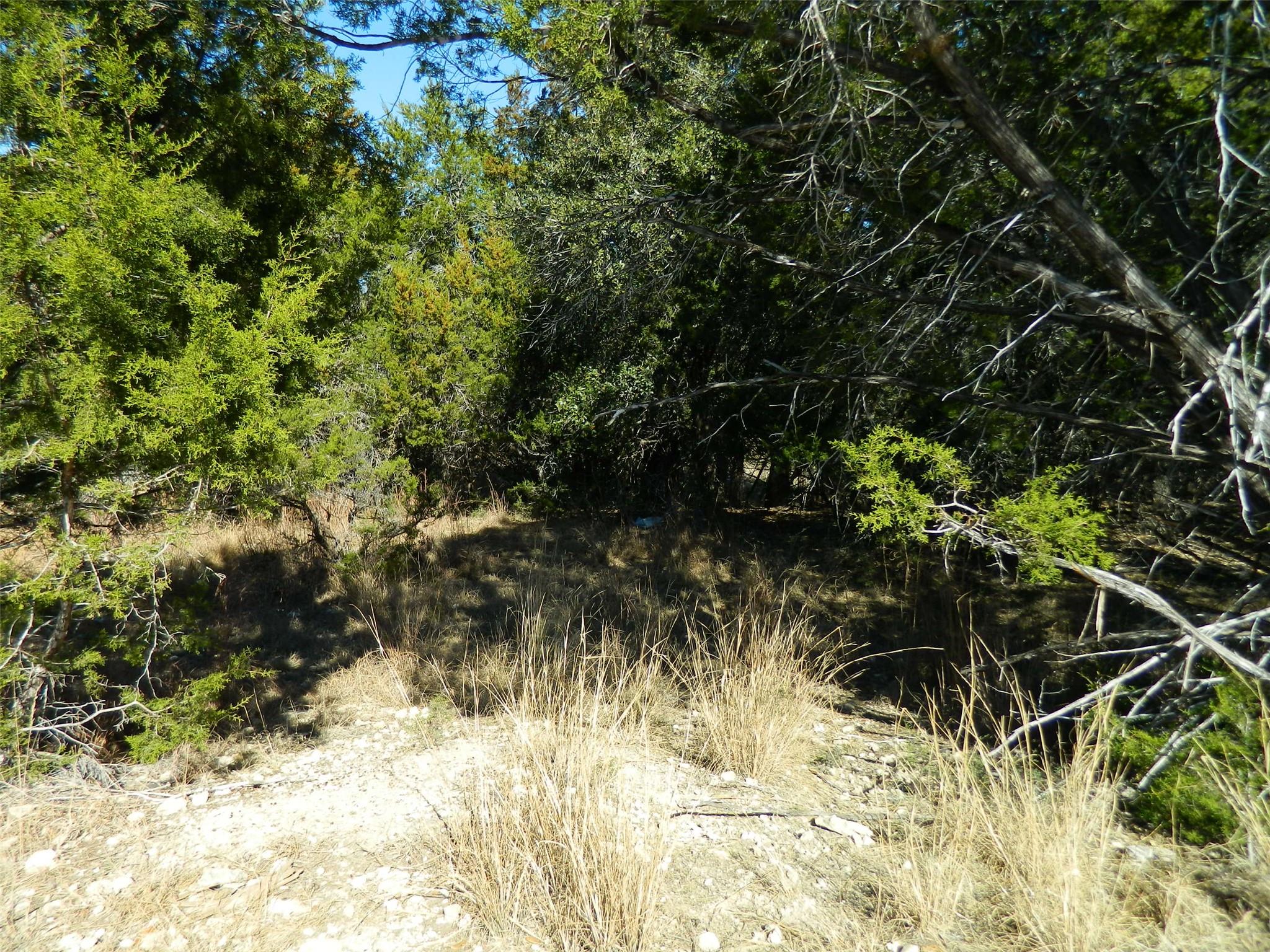 21108 Santa Rosa Ave, Lago Vista, TX 78645