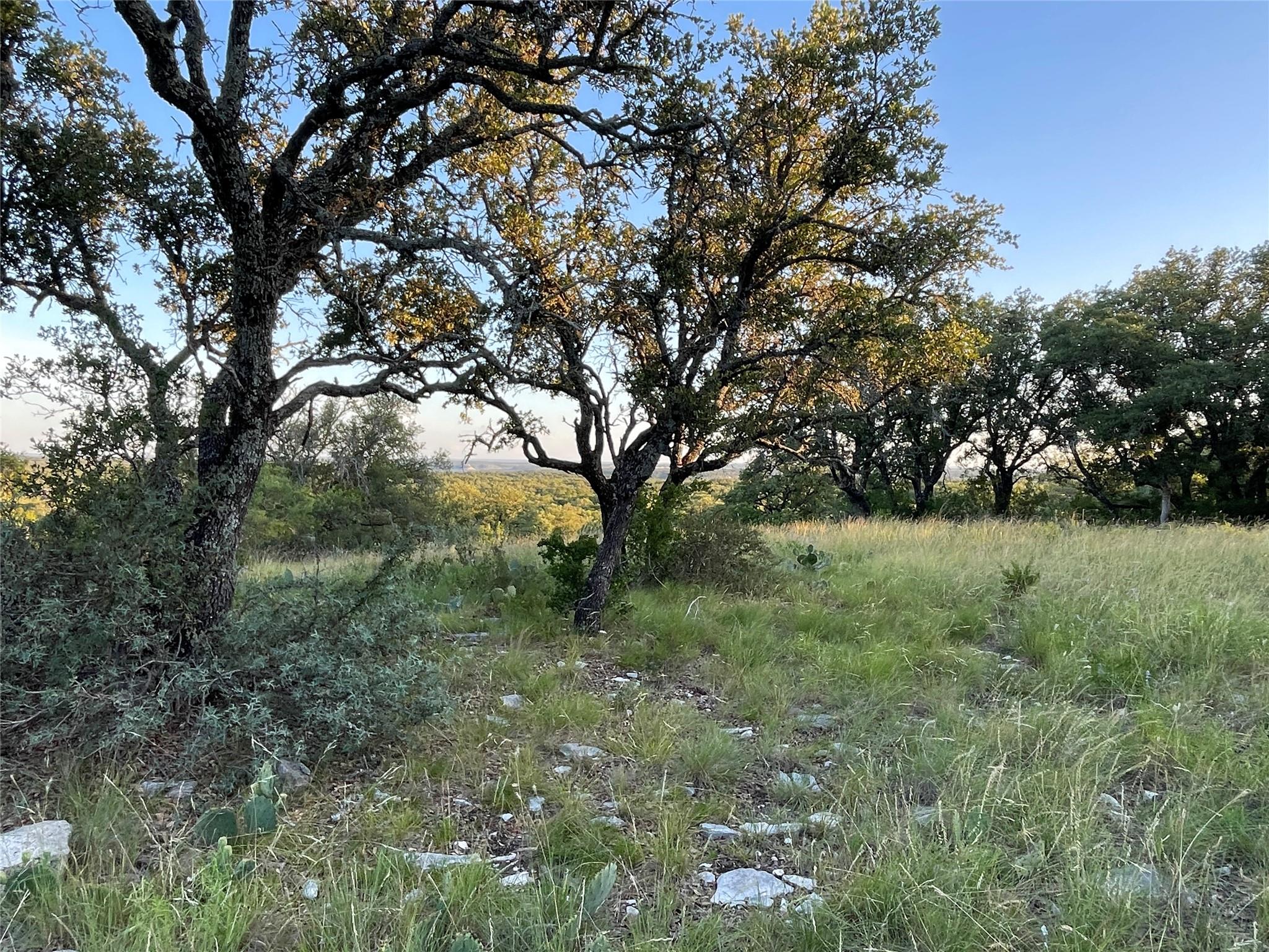 2321 Gentry Creek Rd, Junction, TX 76849