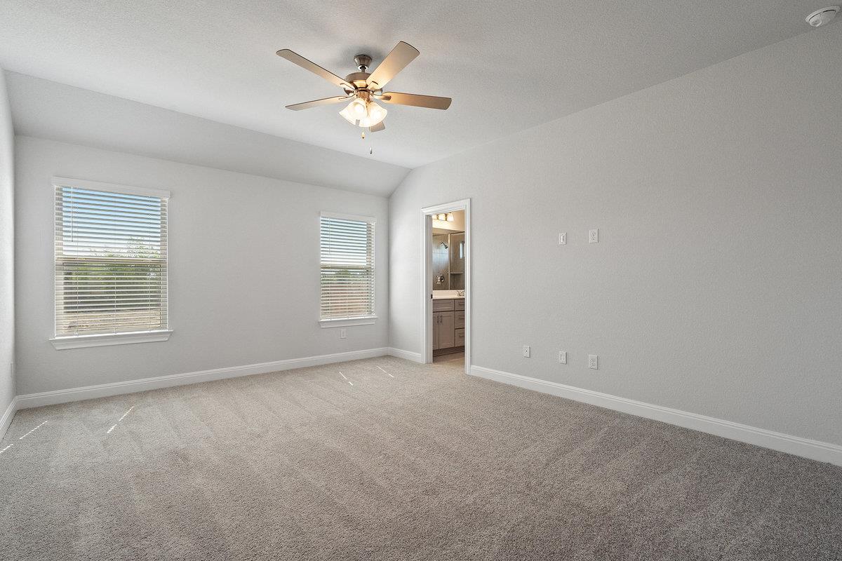 431 Dogvane Cir, Kyle, TX 78640