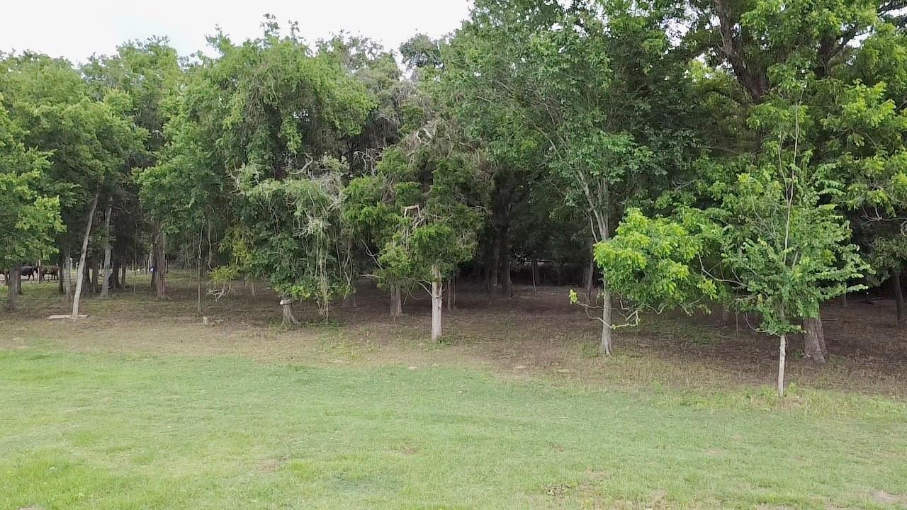 000 FM 535, Rosanky, TX 78953