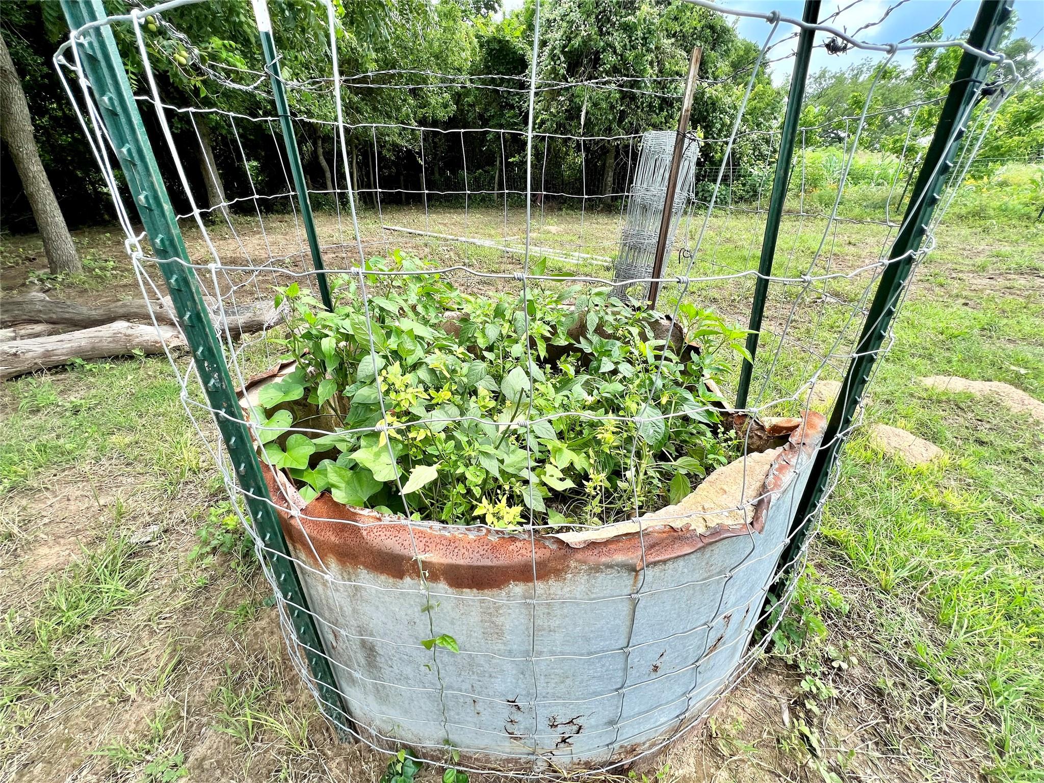 000 FM 535, Rosanky, TX 78953