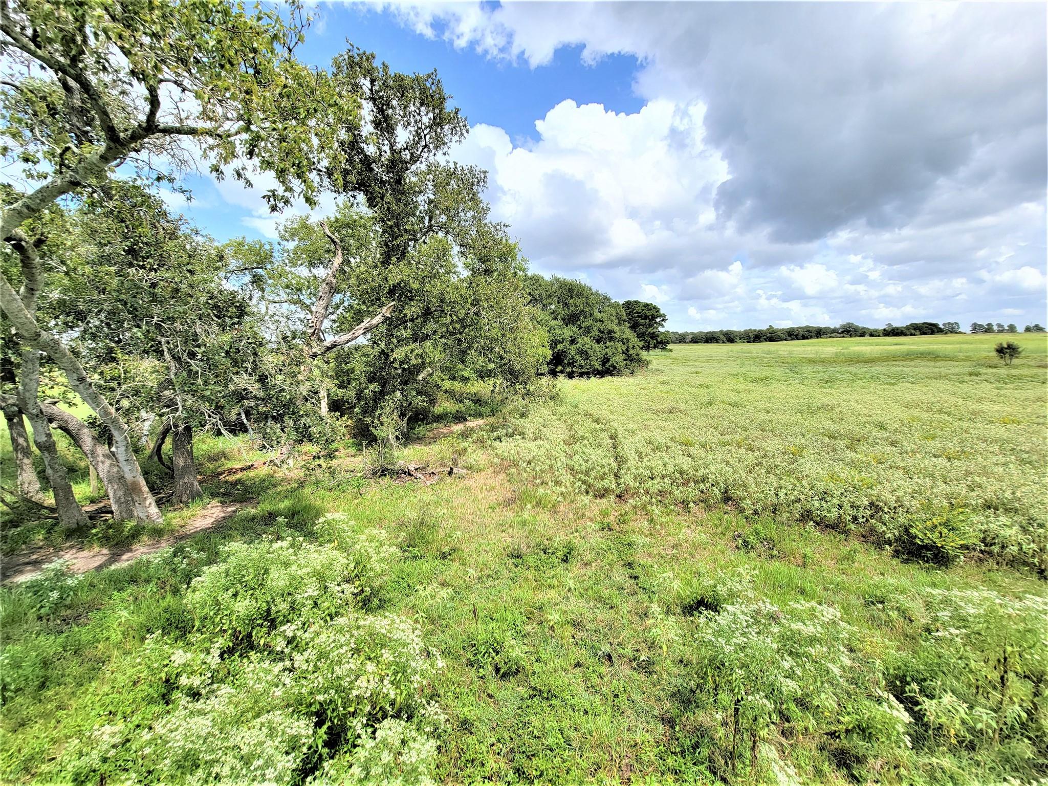 1450 Cattlemens Row # Tract 3, Lockhart, TX 78644