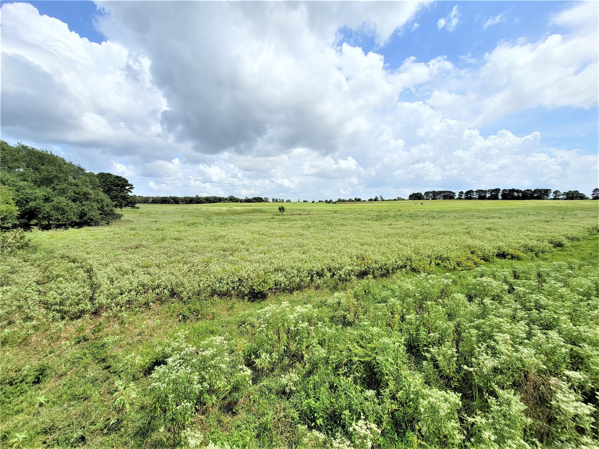 1450 Cattlemens Row # Tract 3, Lockhart, TX 78644