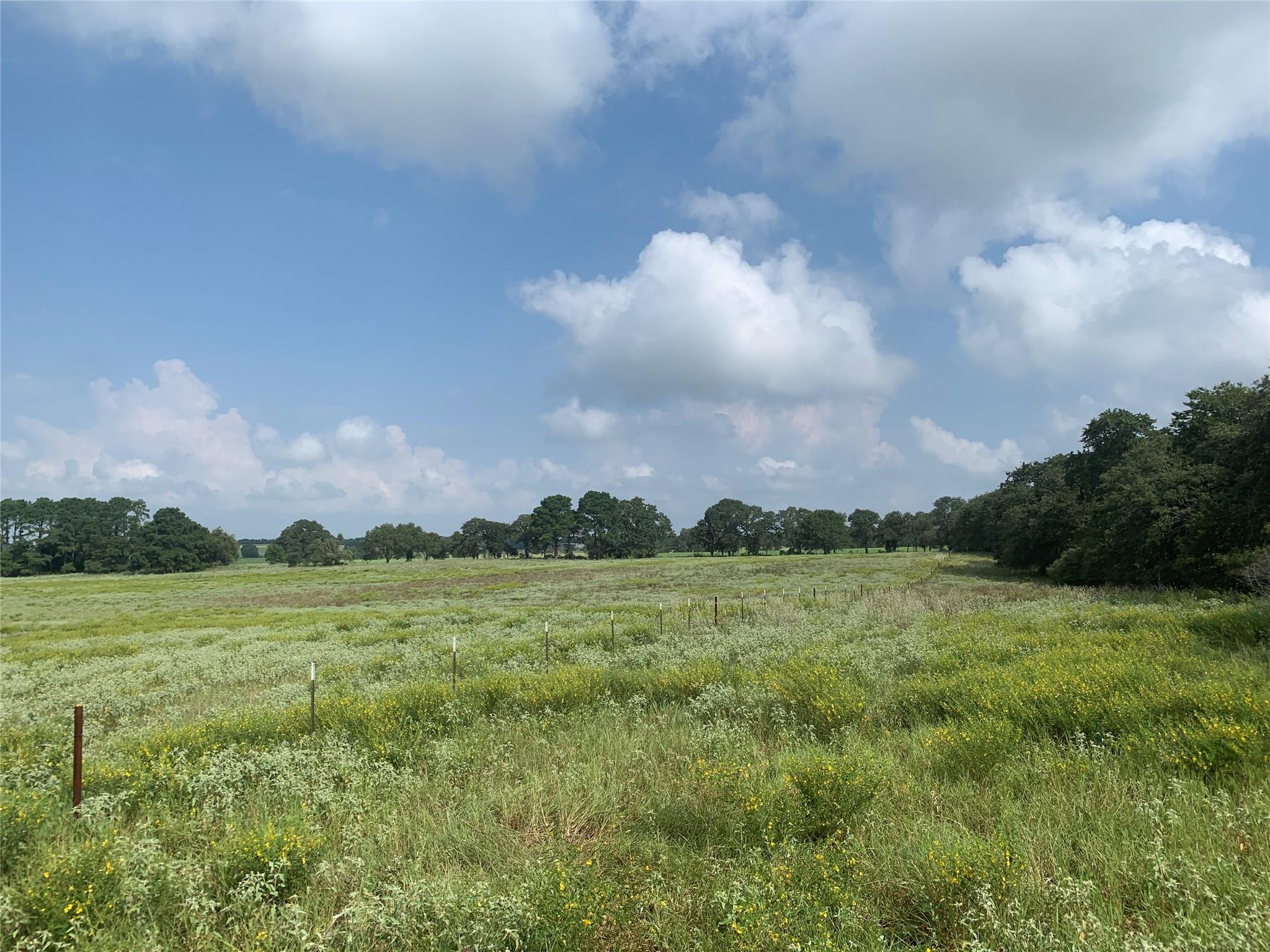 1450 Cattlemens Row # Tract 3, Lockhart, TX 78644