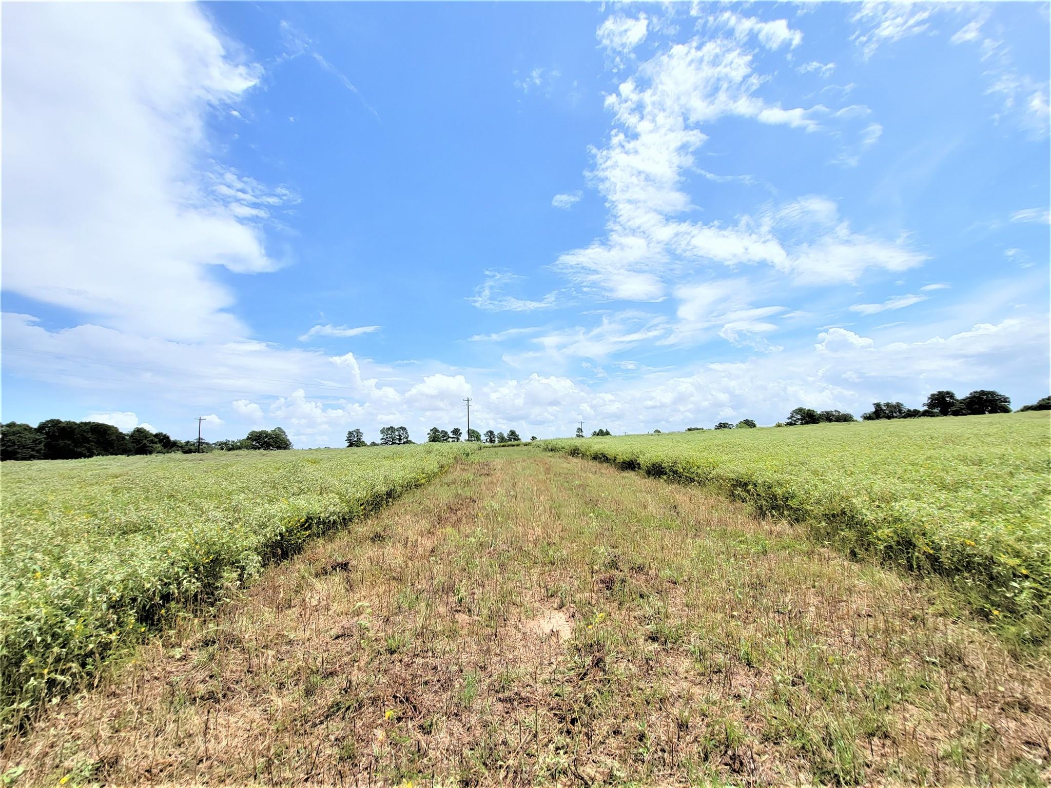 1450 Cattlemens Row # Tract 3, Lockhart, TX 78644