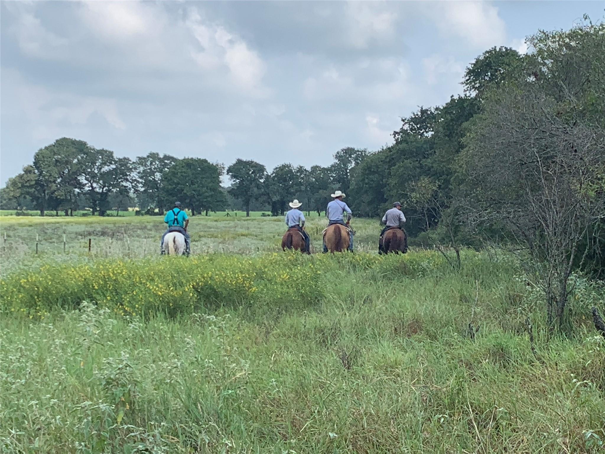 1450 Cattlemens Row # Tract 3, Lockhart, TX 78644