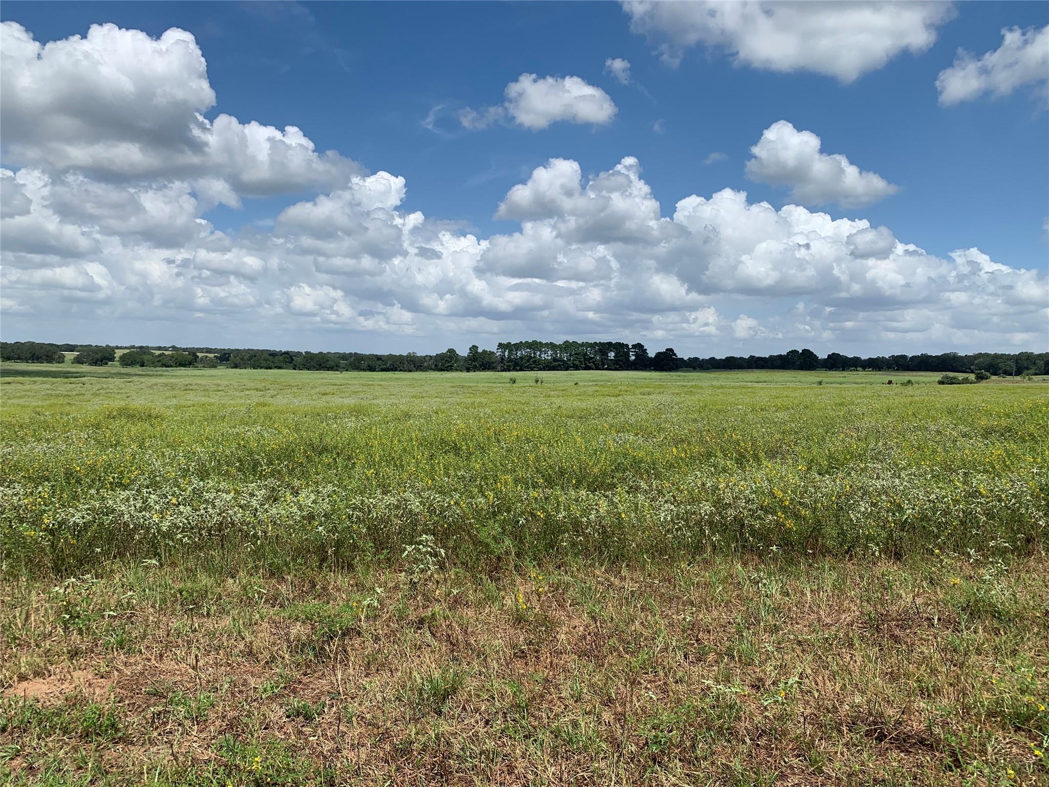 1450 Cattlemens Row # Tract 3, Lockhart, TX 78644