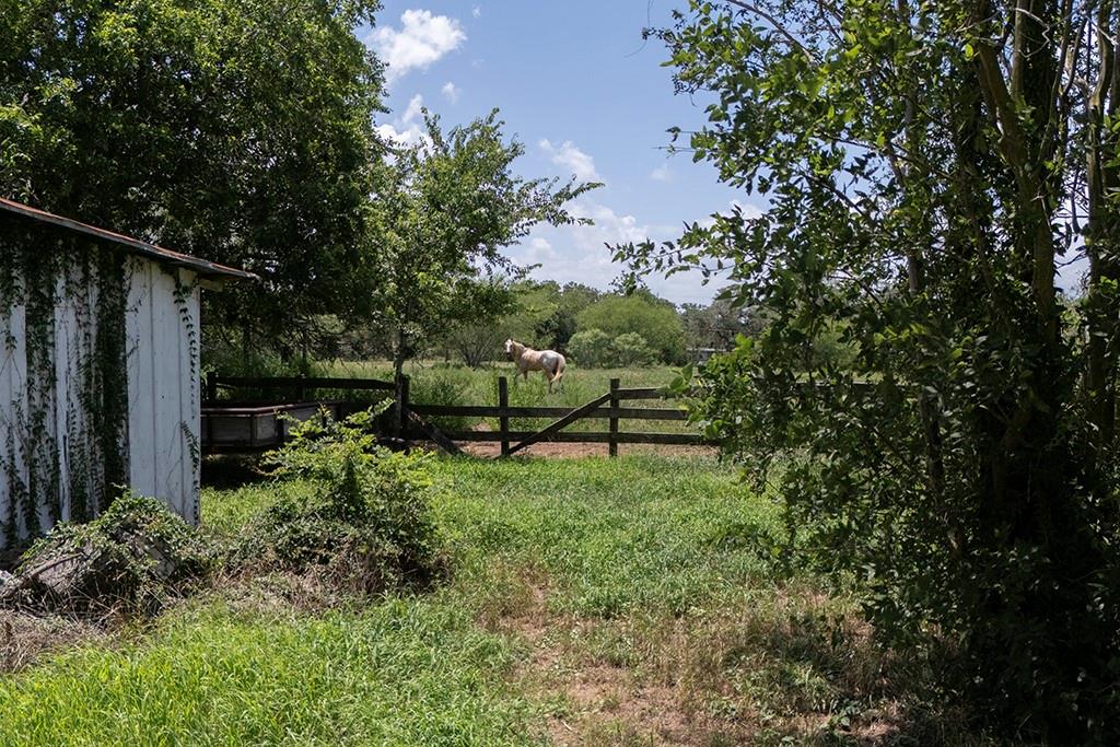 3508 Moulton Rd, Gonzales, TX 78629