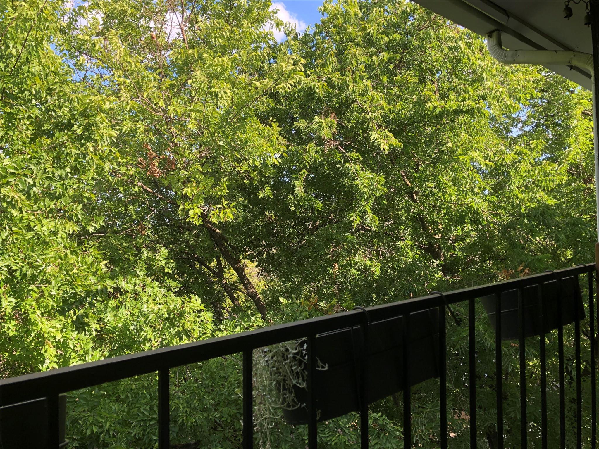 6409 Burns St # 306, Austin, TX 78752