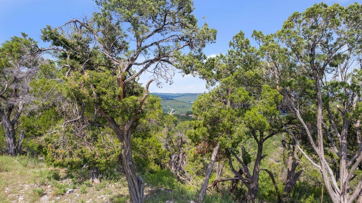 17933 Ranchland Hills Vis, Jonestown, TX 78645