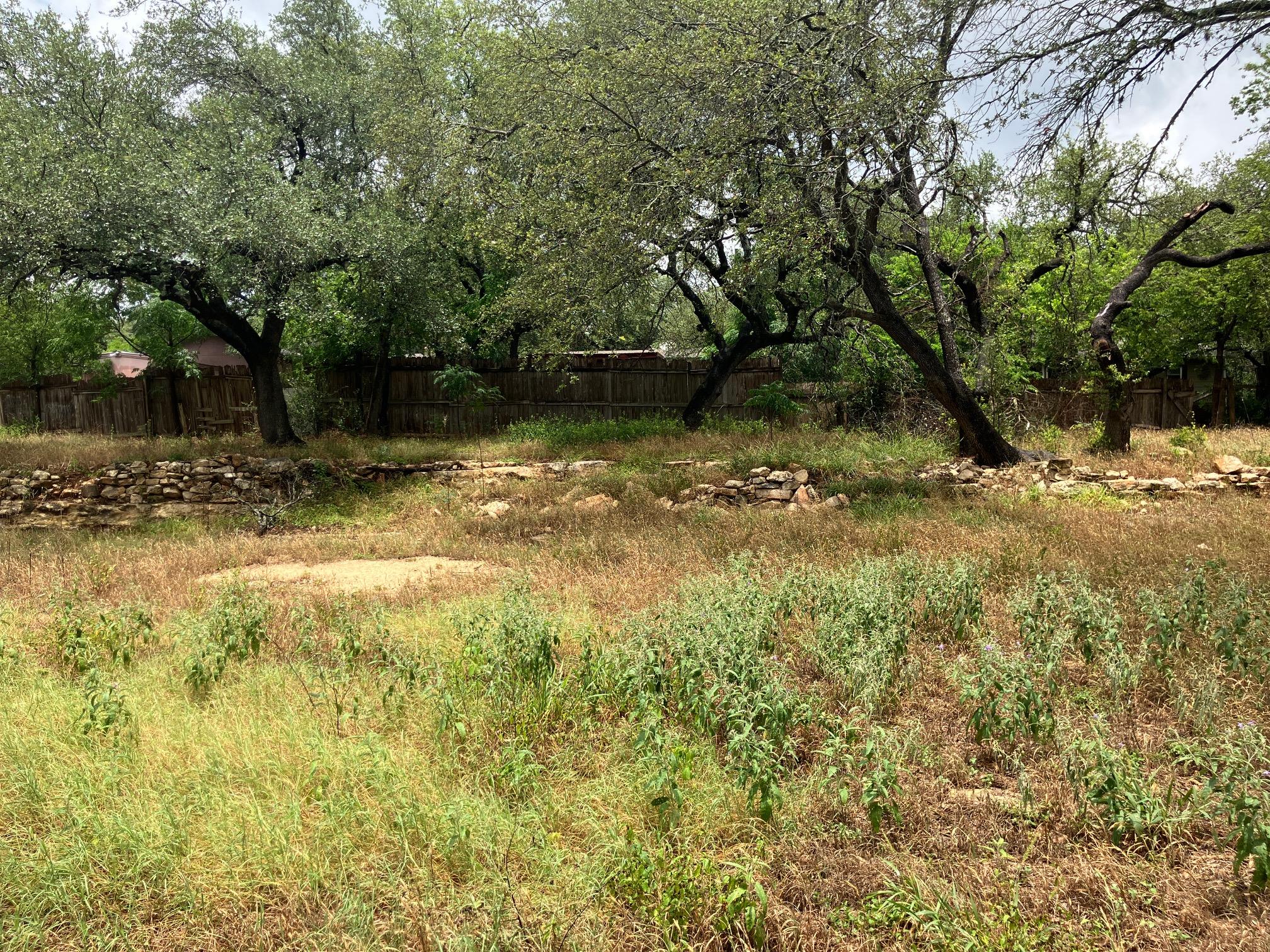 1505 Lance Rd, Austin, TX 78734