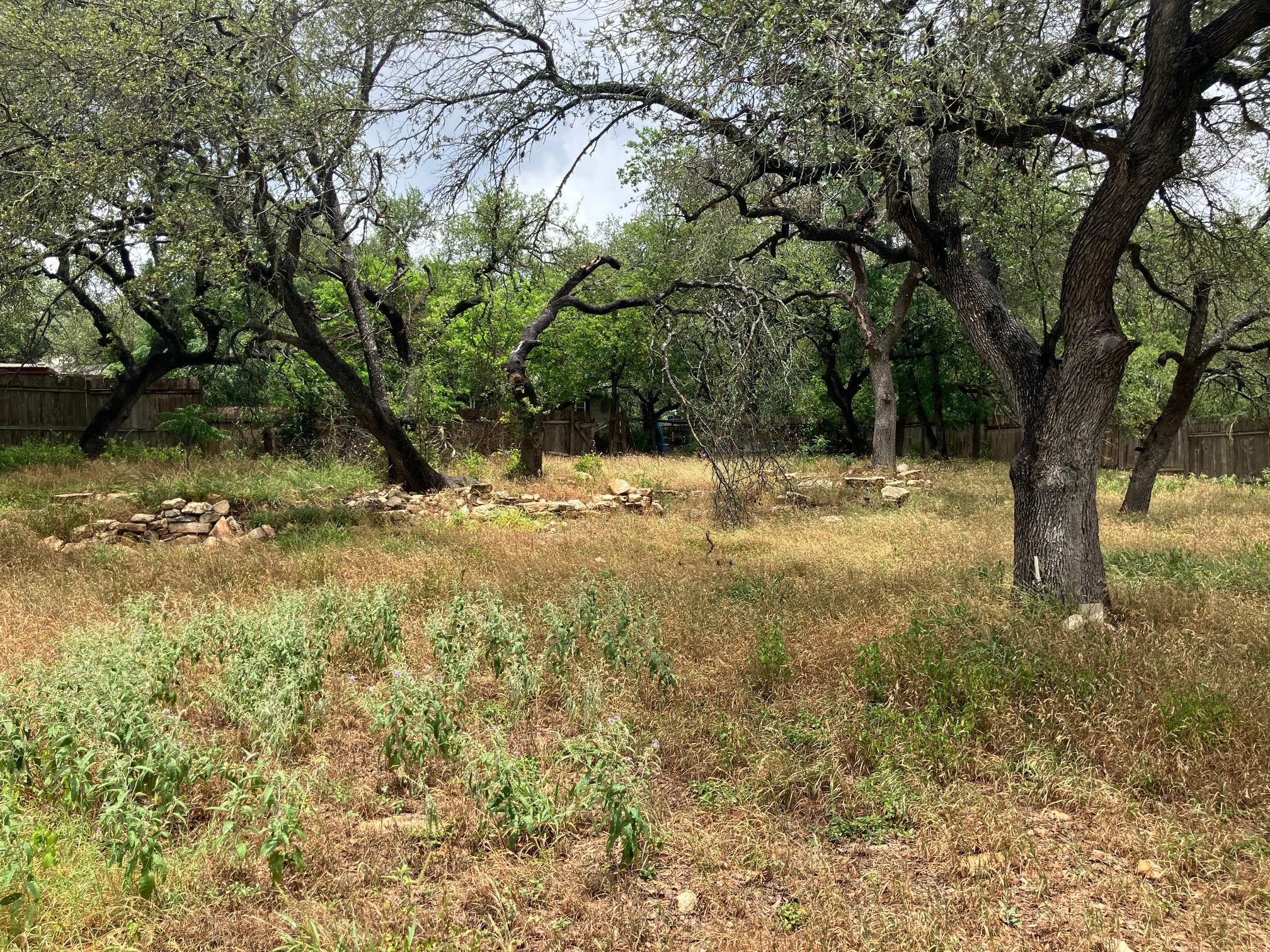 1505 Lance Rd, Austin, TX 78734