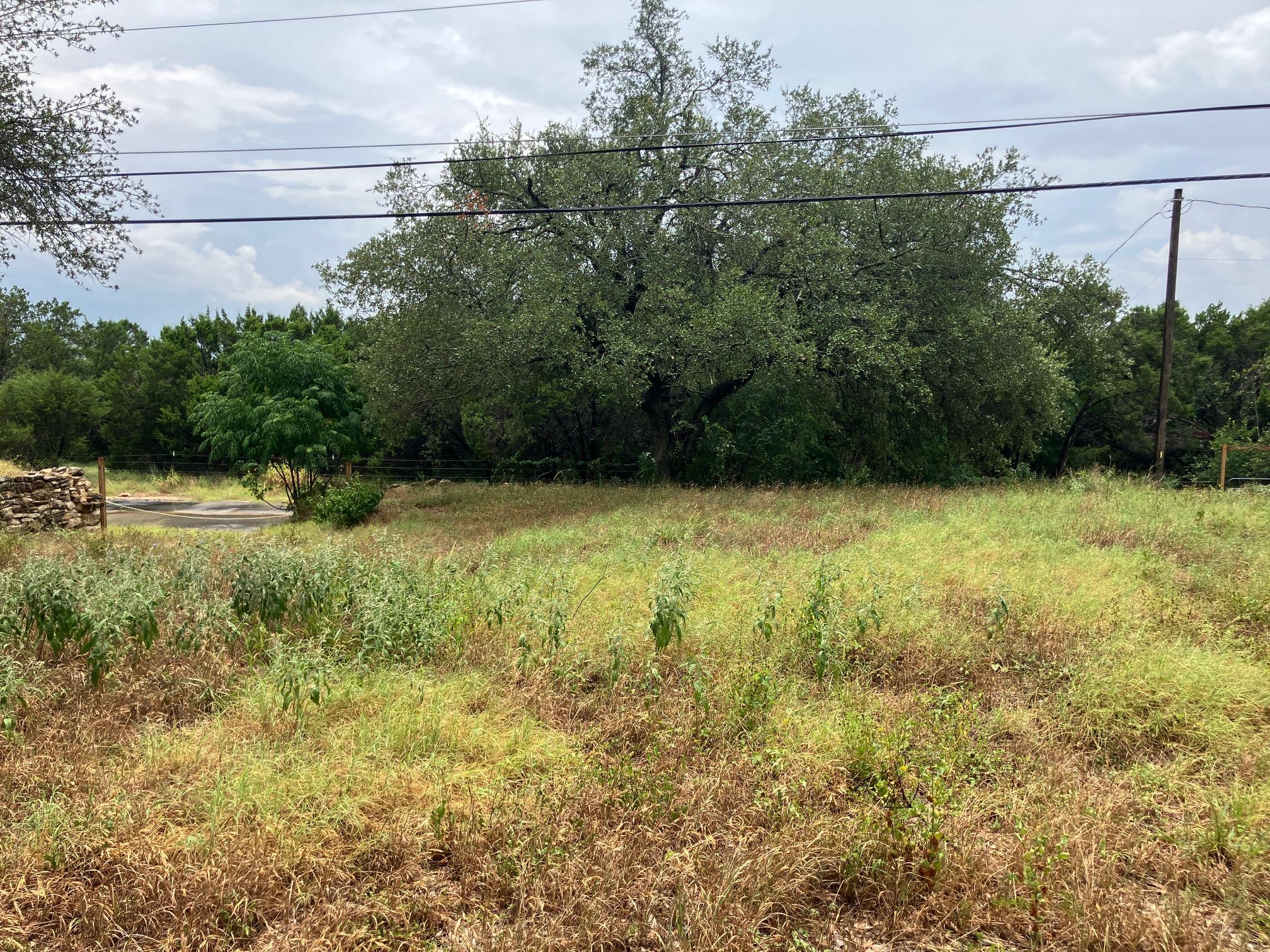 1505 Lance Rd, Austin, TX 78734