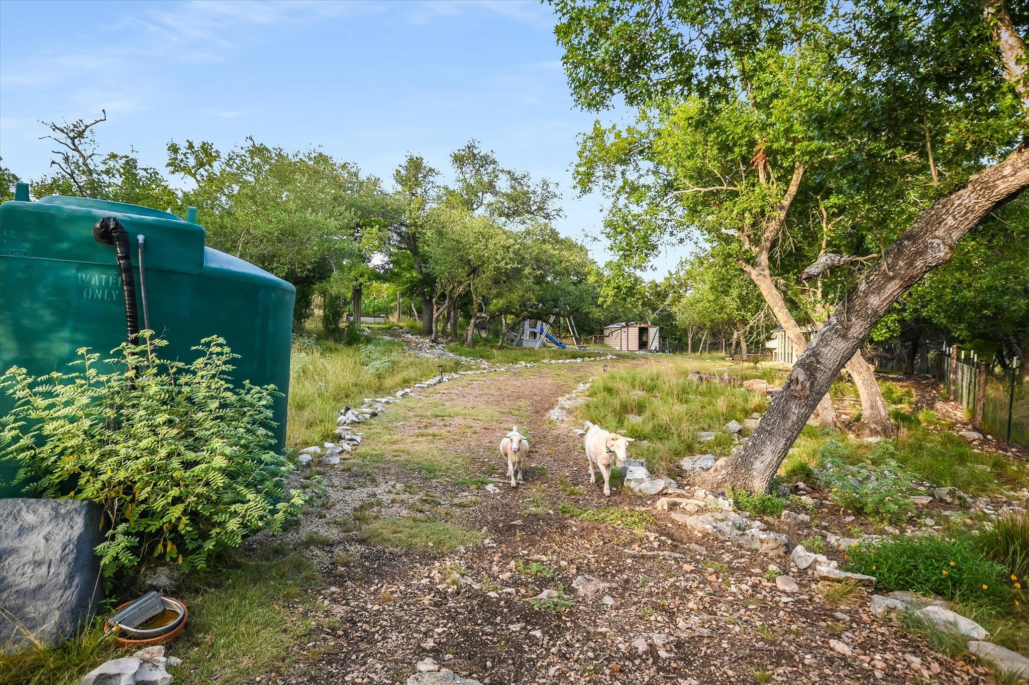 1124 RIVER MOUNTAIN Rd, Wimberley, TX 78676