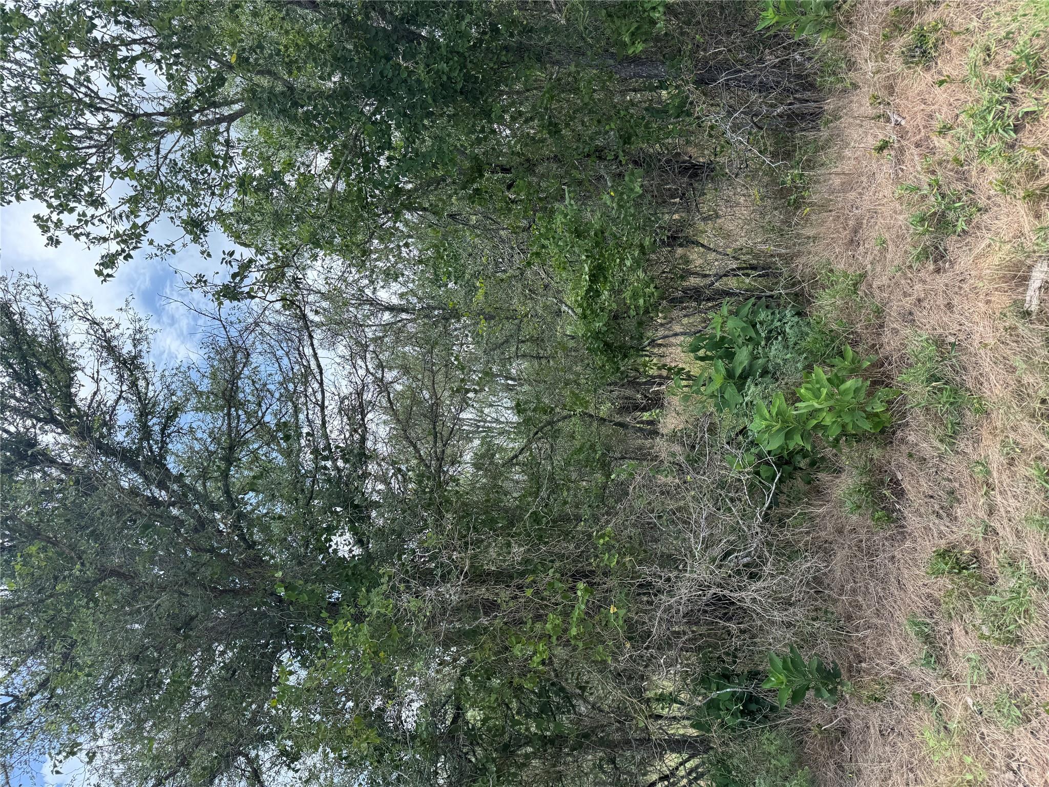 Lot 686 Kawainui Ln, Bastrop, TX 78602