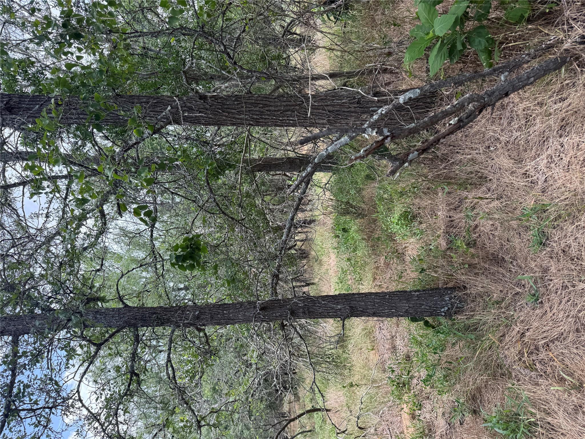 Lot 686 Kawainui Ln, Bastrop, TX 78602