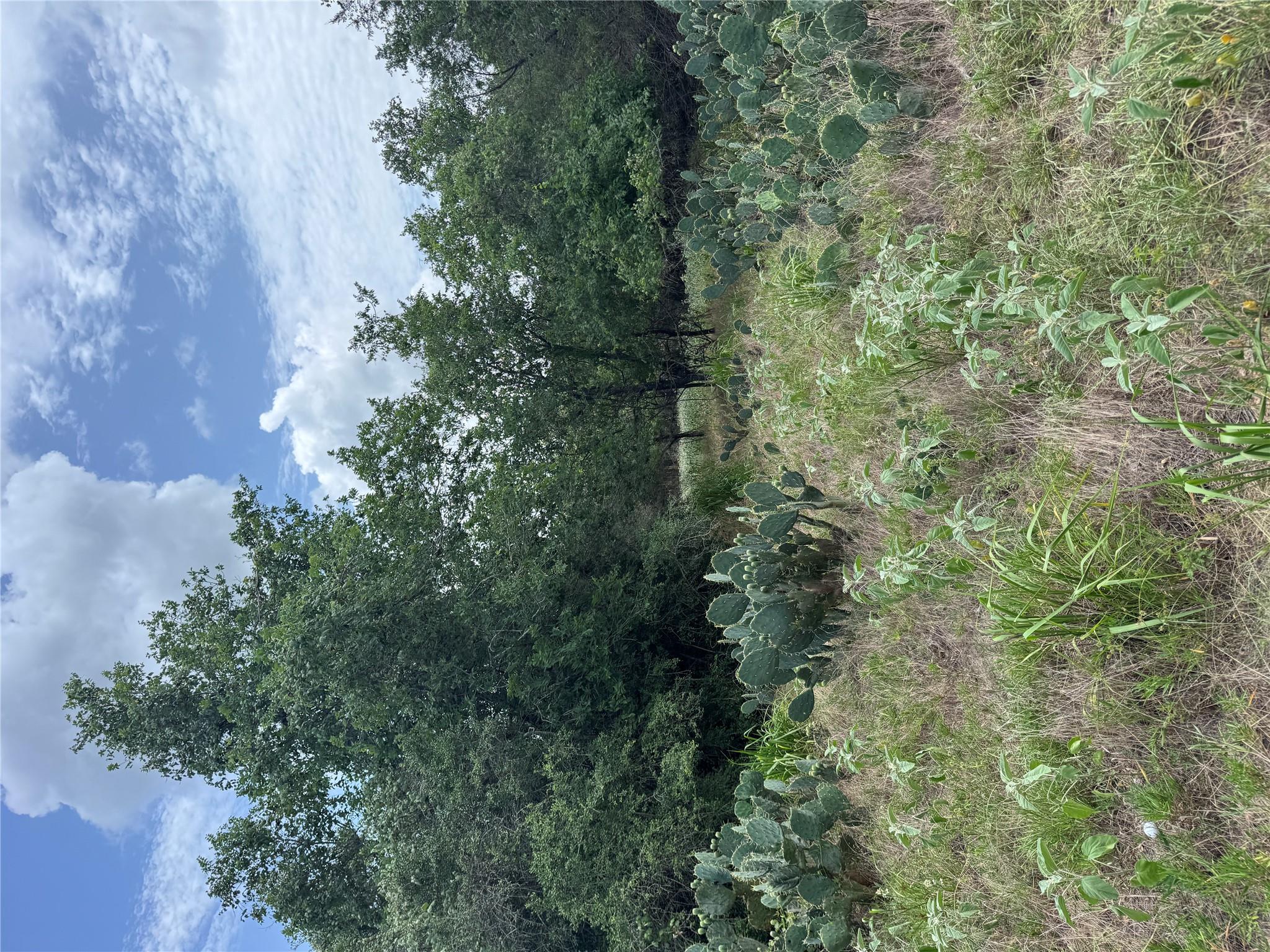 Lot 687 Kawainui Ln, Bastrop, TX 78602
