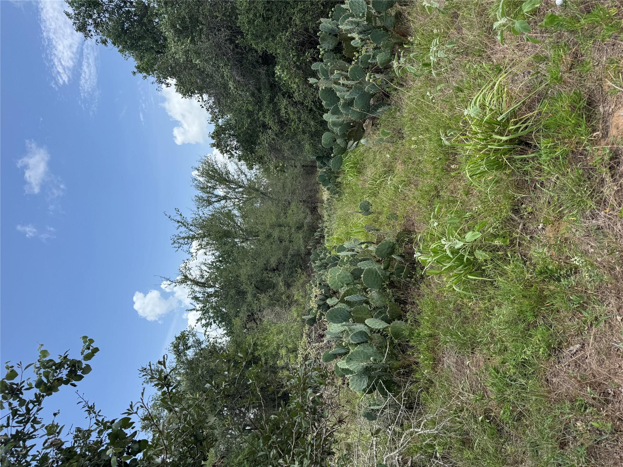 Lot 687 Kawainui Ln, Bastrop, TX 78602