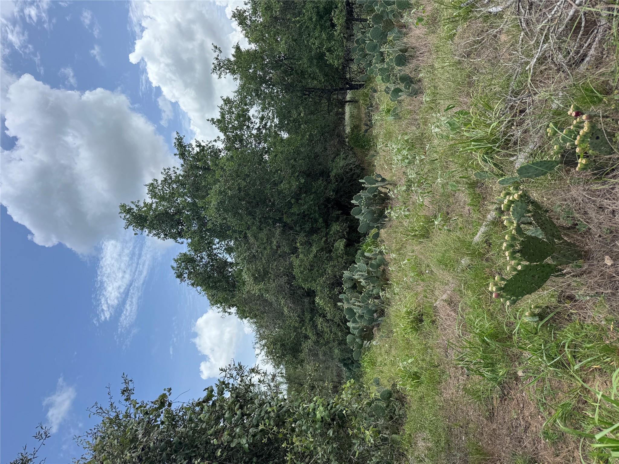 Lot 687 Kawainui Ln, Bastrop, TX 78602