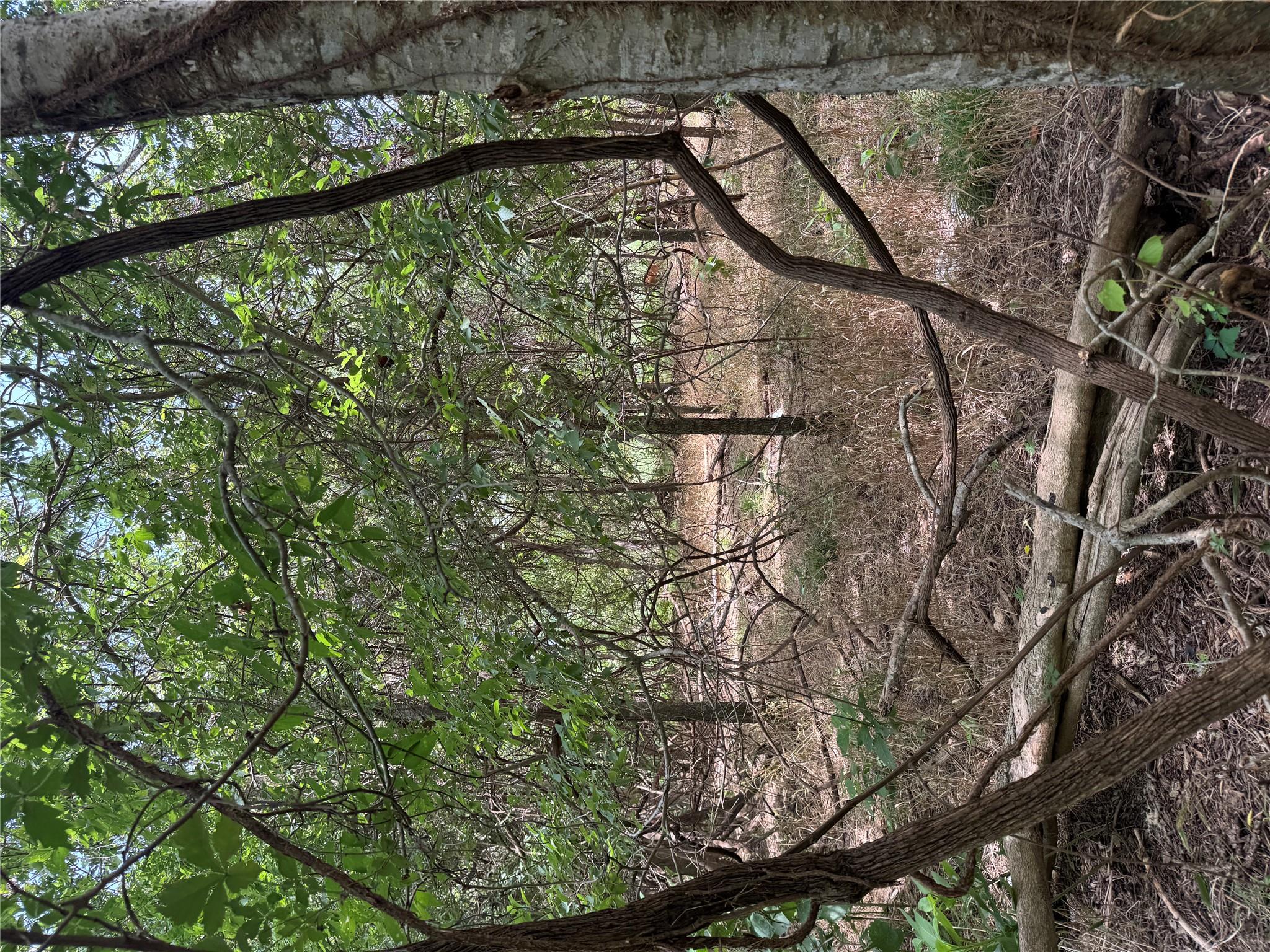 Lot 908 Kahana Ln, Bastrop, TX 78602