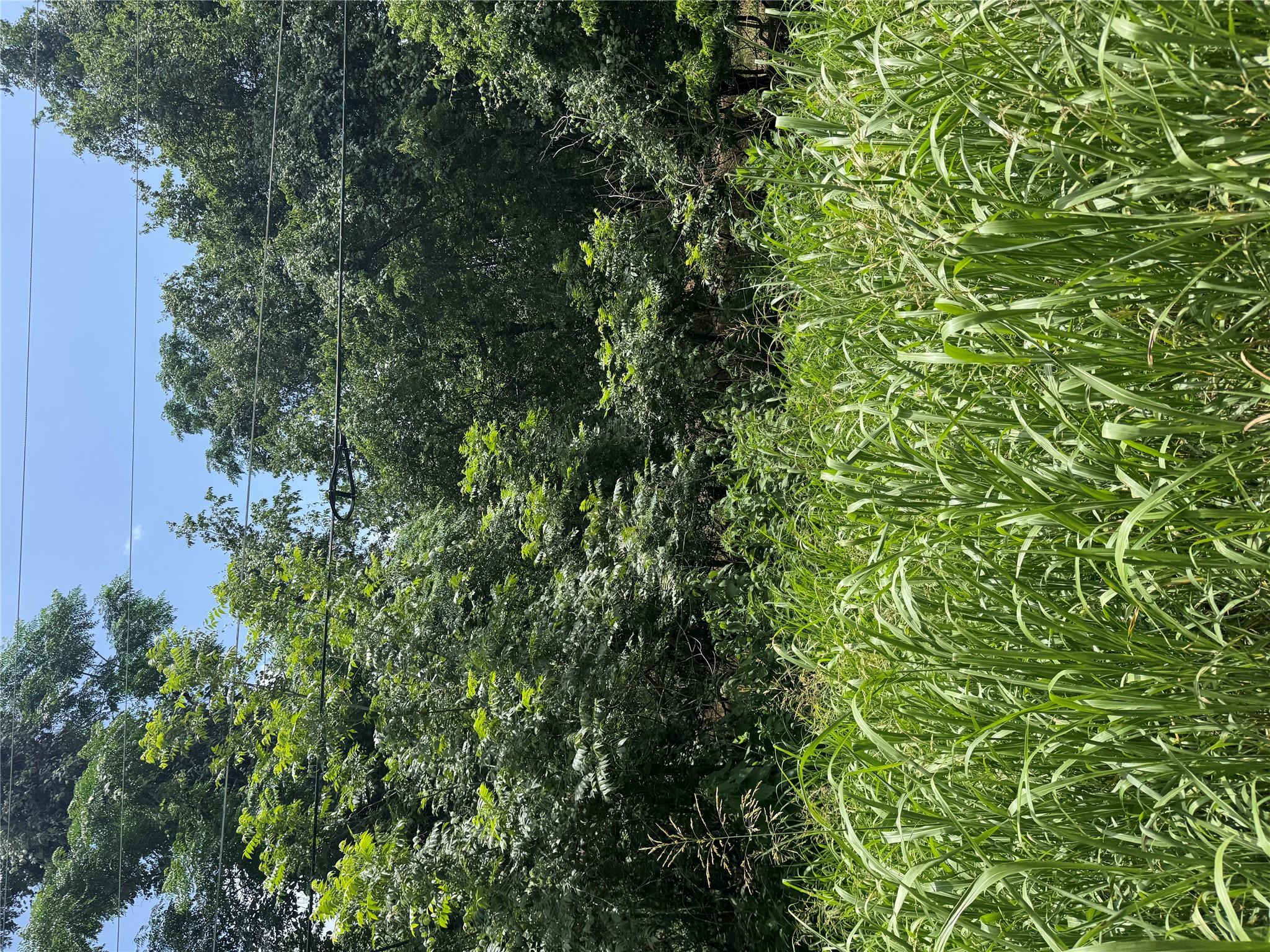 Lot 908 Kahana Ln, Bastrop, TX 78602