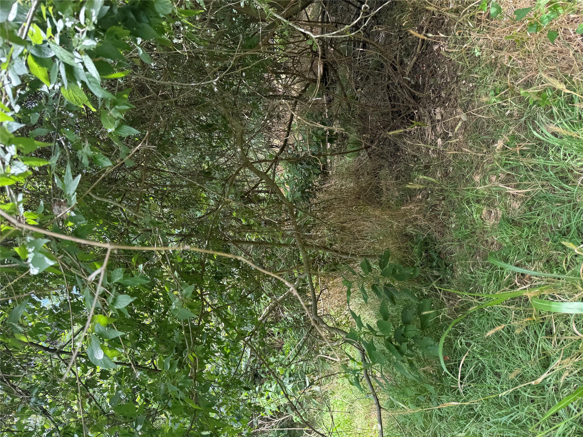 Lot 908 Kahana Ln, Bastrop, TX 78602