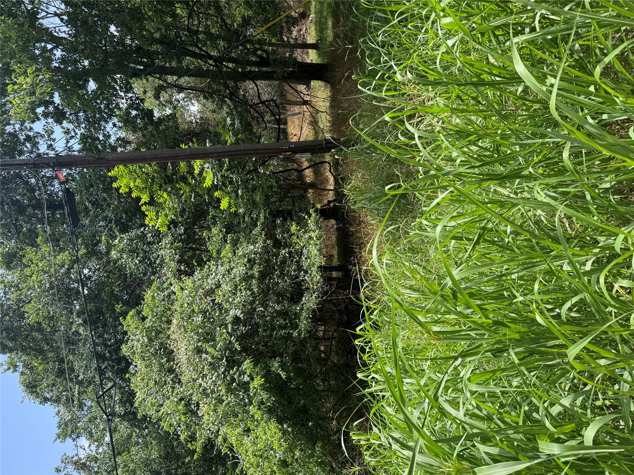 Lot 908 Kahana Ln, Bastrop, TX 78602