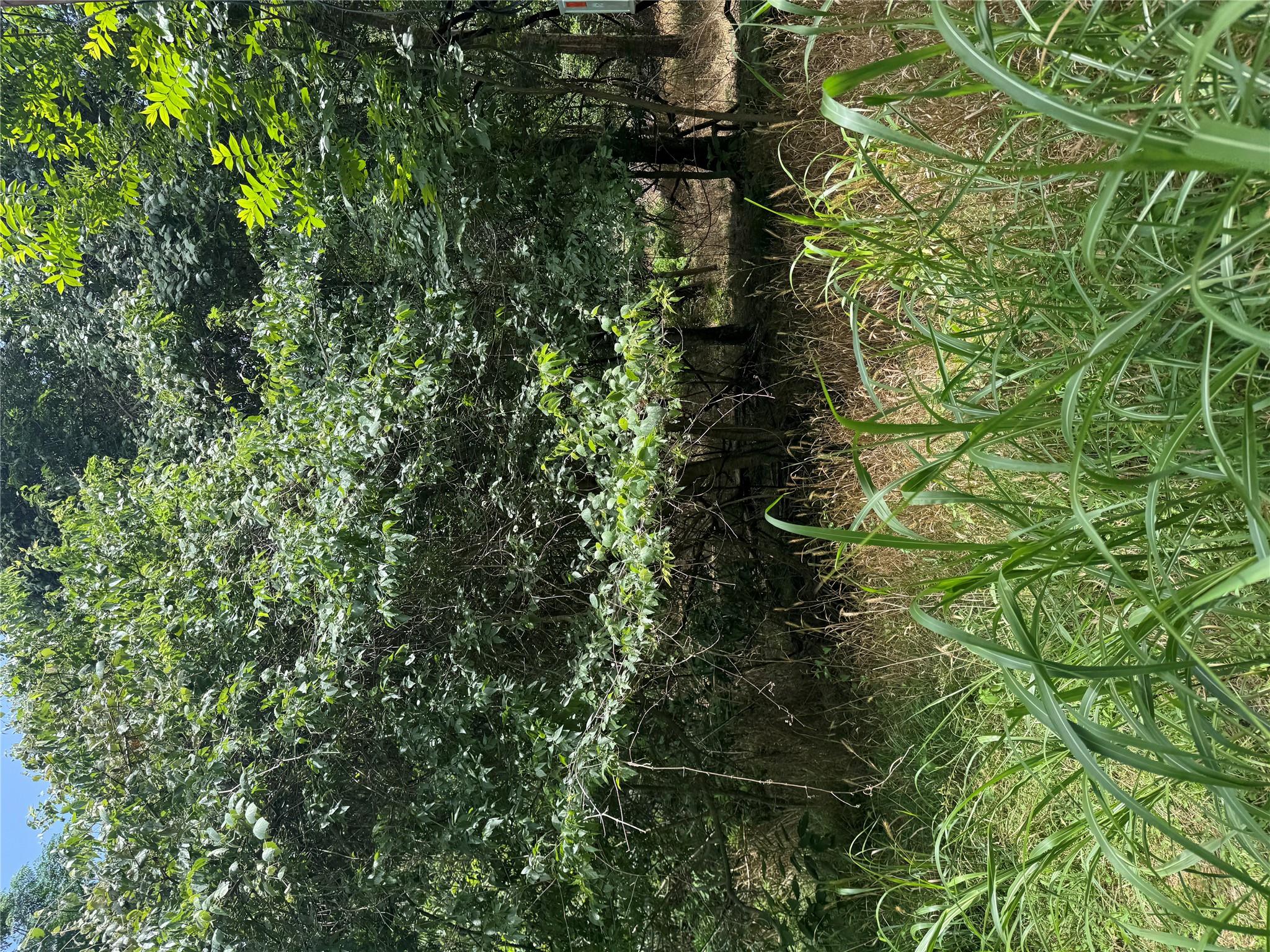 Lot 908 Kahana Ln, Bastrop, TX 78602