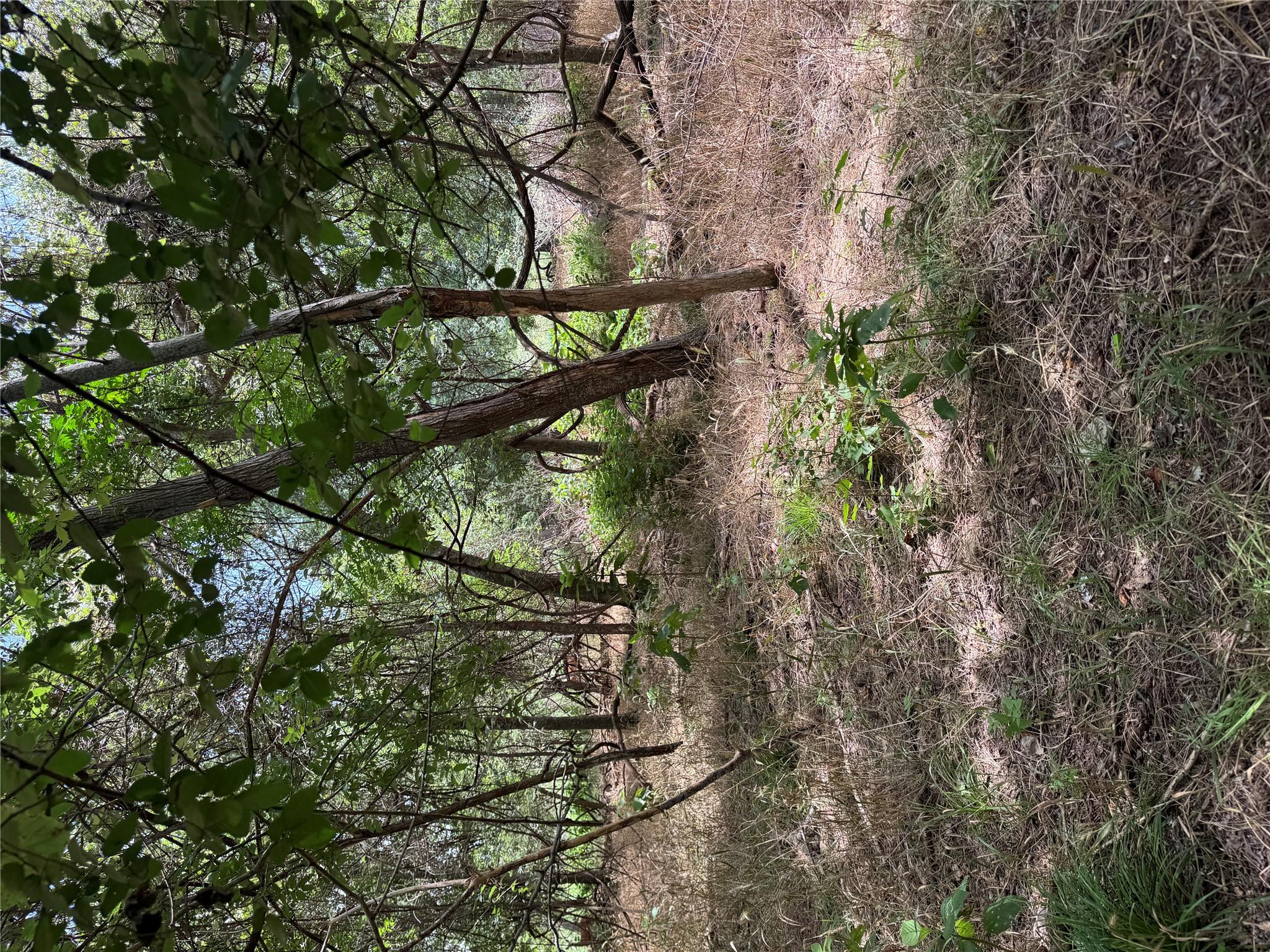 Lot 908 Kahana Ln, Bastrop, TX 78602