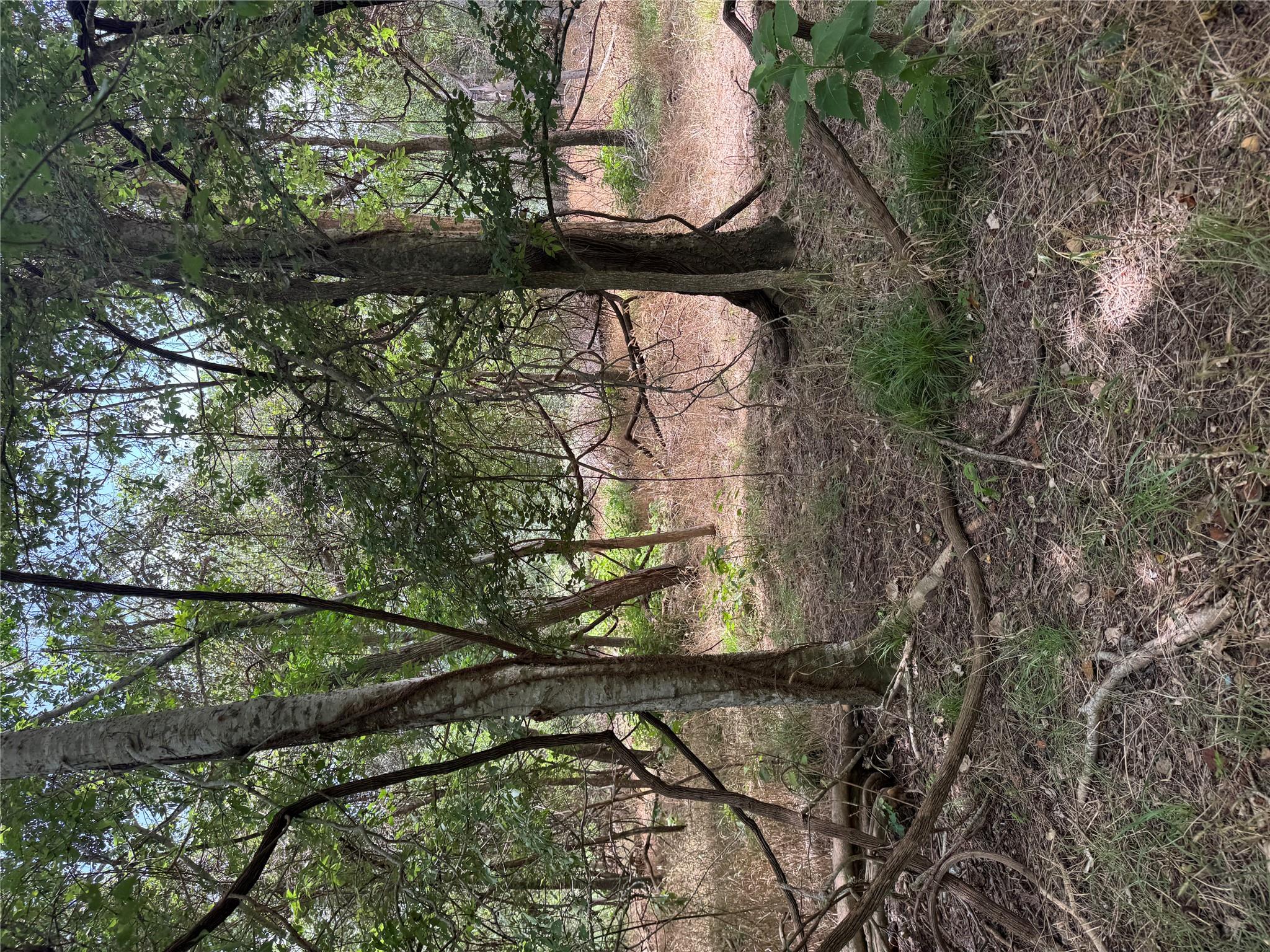 Lot 908 Kahana Ln, Bastrop, TX 78602