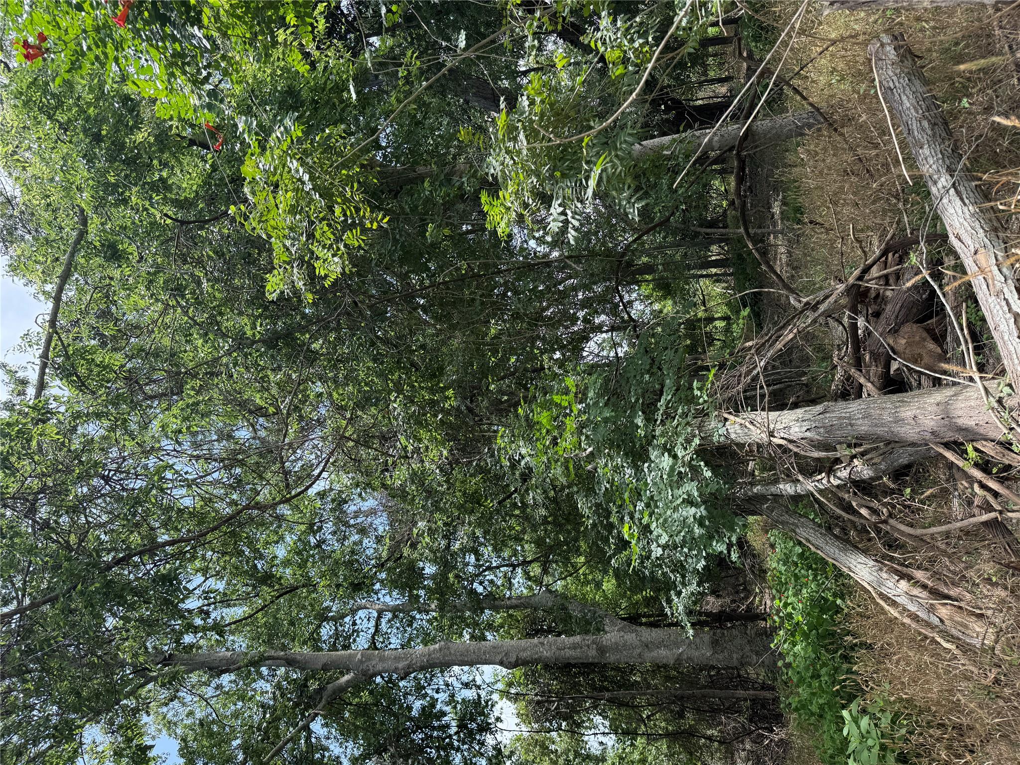 Lot 904 Kahana Ln, Bastrop, TX 78602