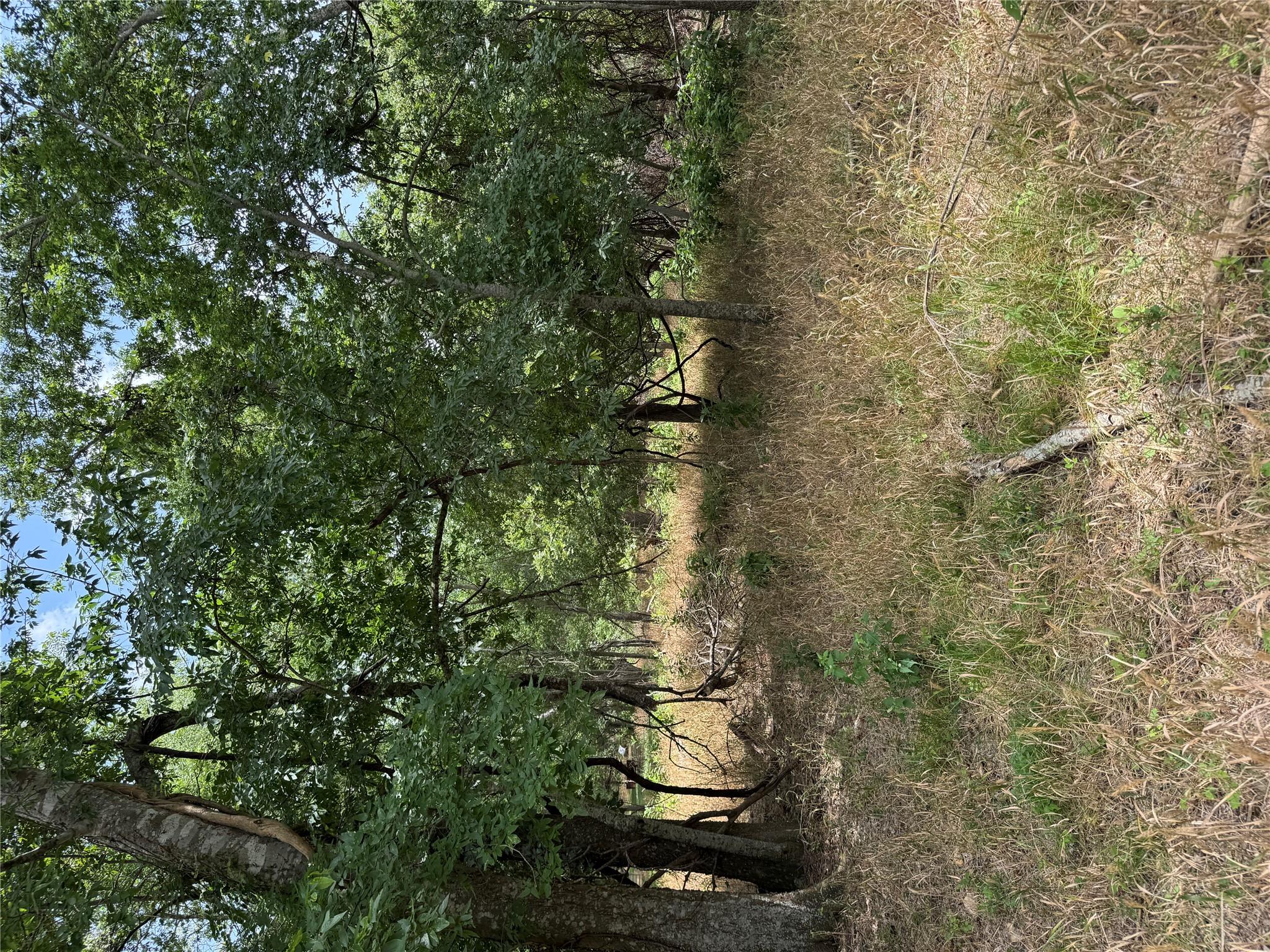 Lot 904 Kahana Ln, Bastrop, TX 78602