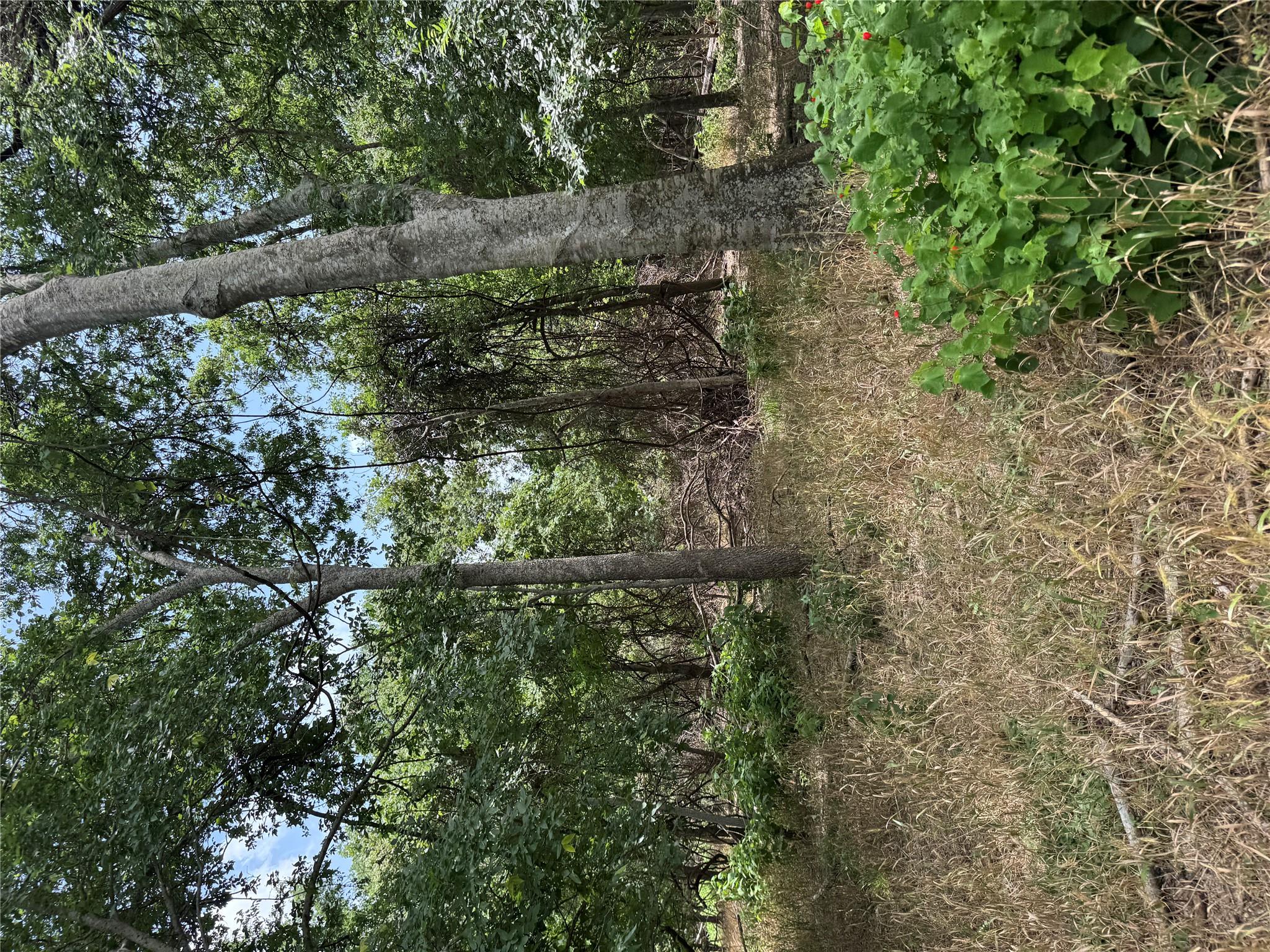Lot 904 Kahana Ln, Bastrop, TX 78602