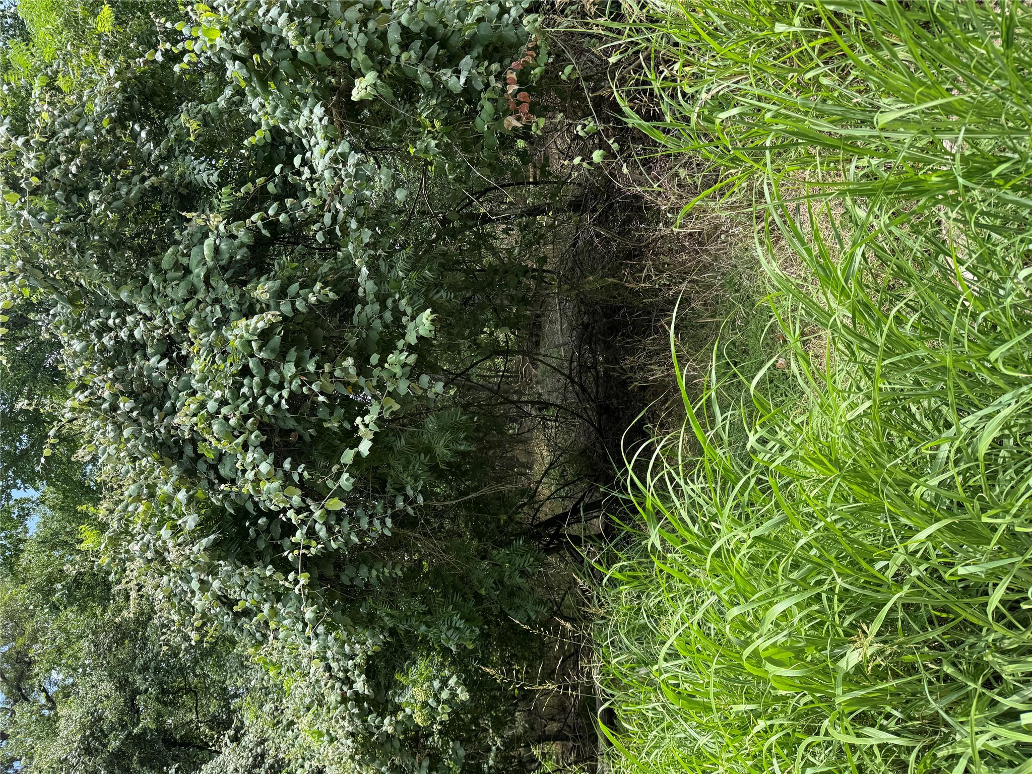 Lot 902 Kahana Ln, Bastrop, TX 78602