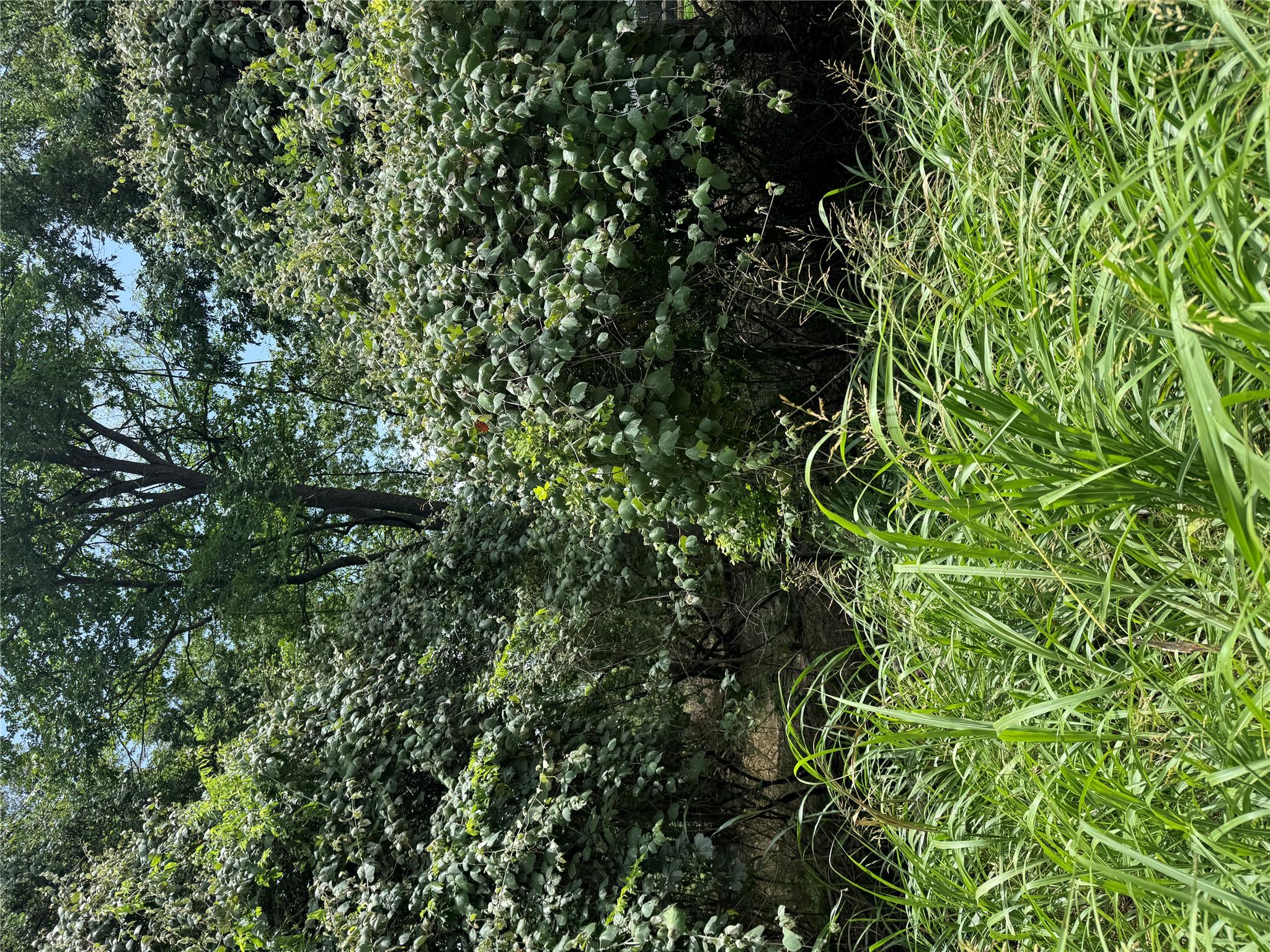 Lot 902 Kahana Ln, Bastrop, TX 78602