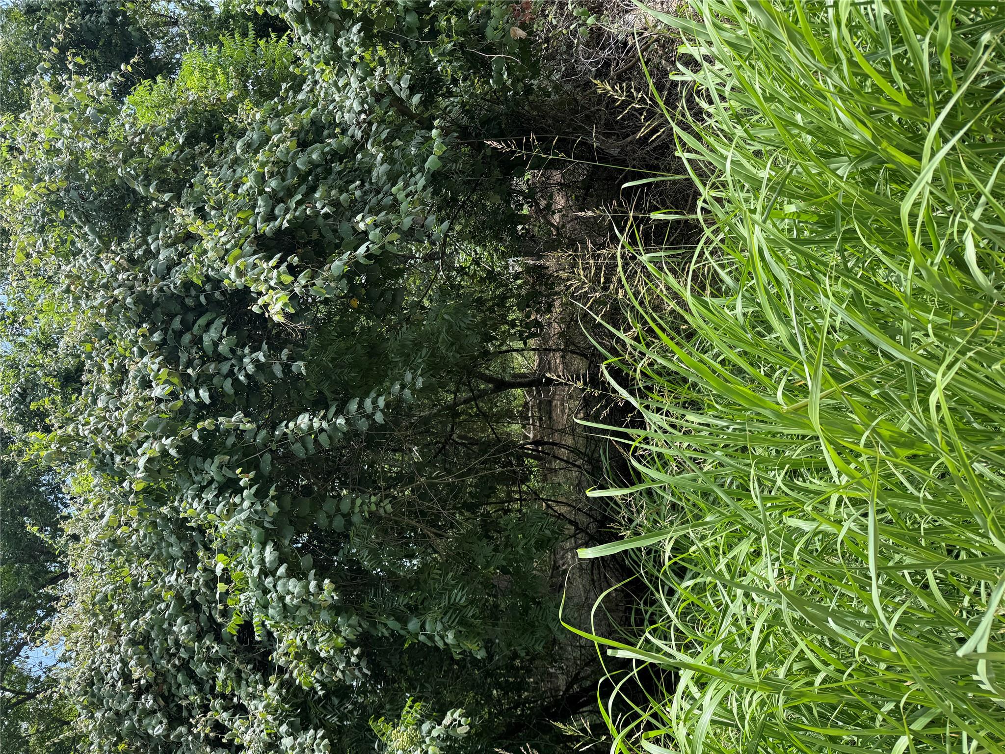 Lot 902 Kahana Ln, Bastrop, TX 78602