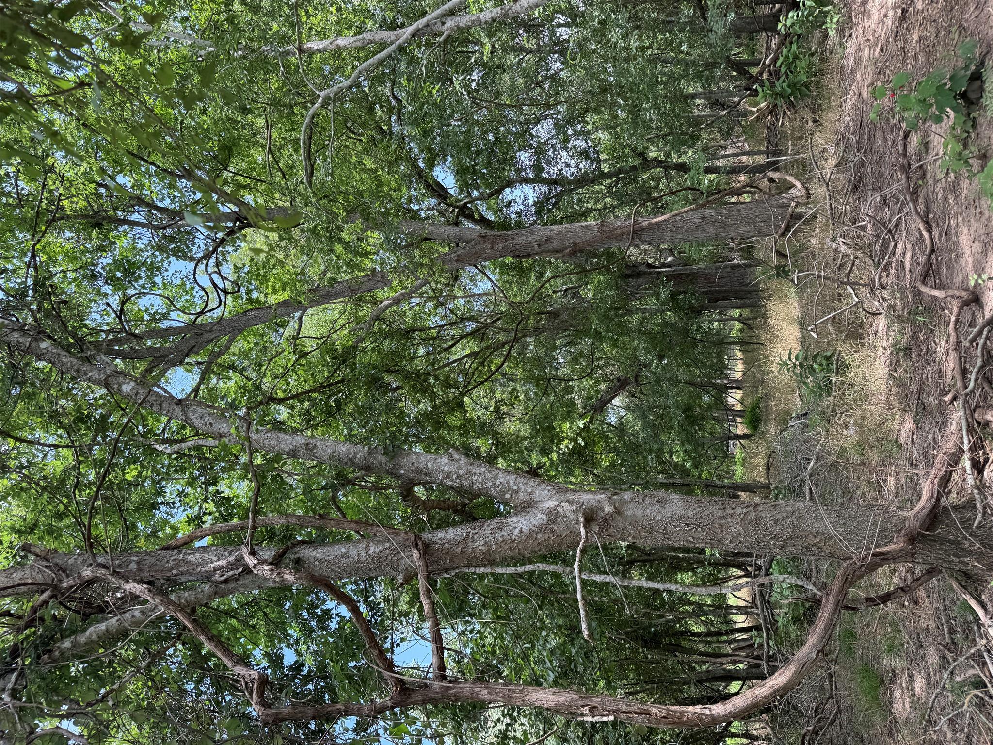 Lot 902 Kahana Ln, Bastrop, TX 78602